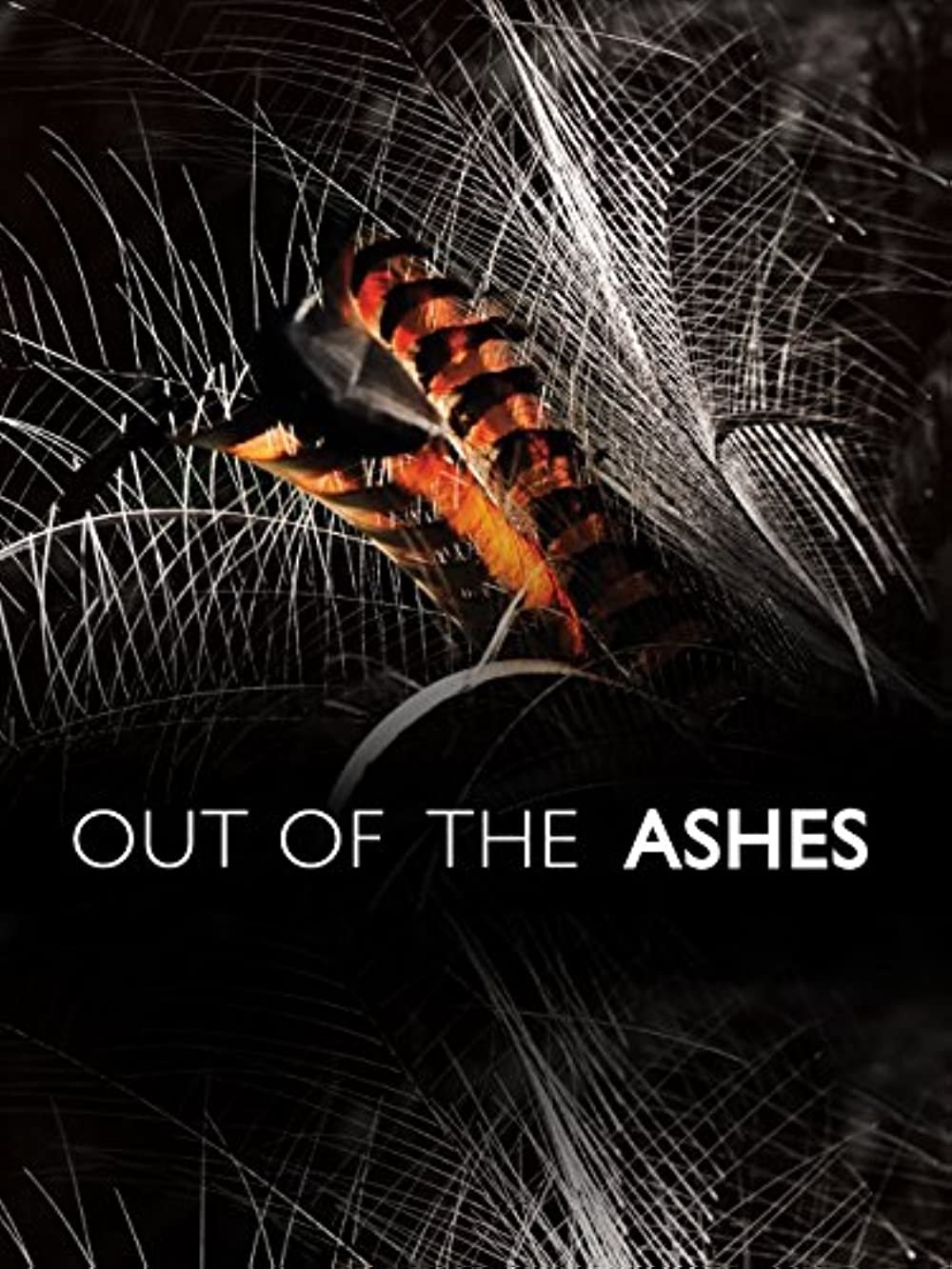 Out of the Ashes - Bild 1 von 2