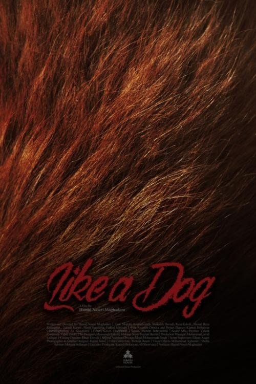 Like A Dog - Bild 1 von 2