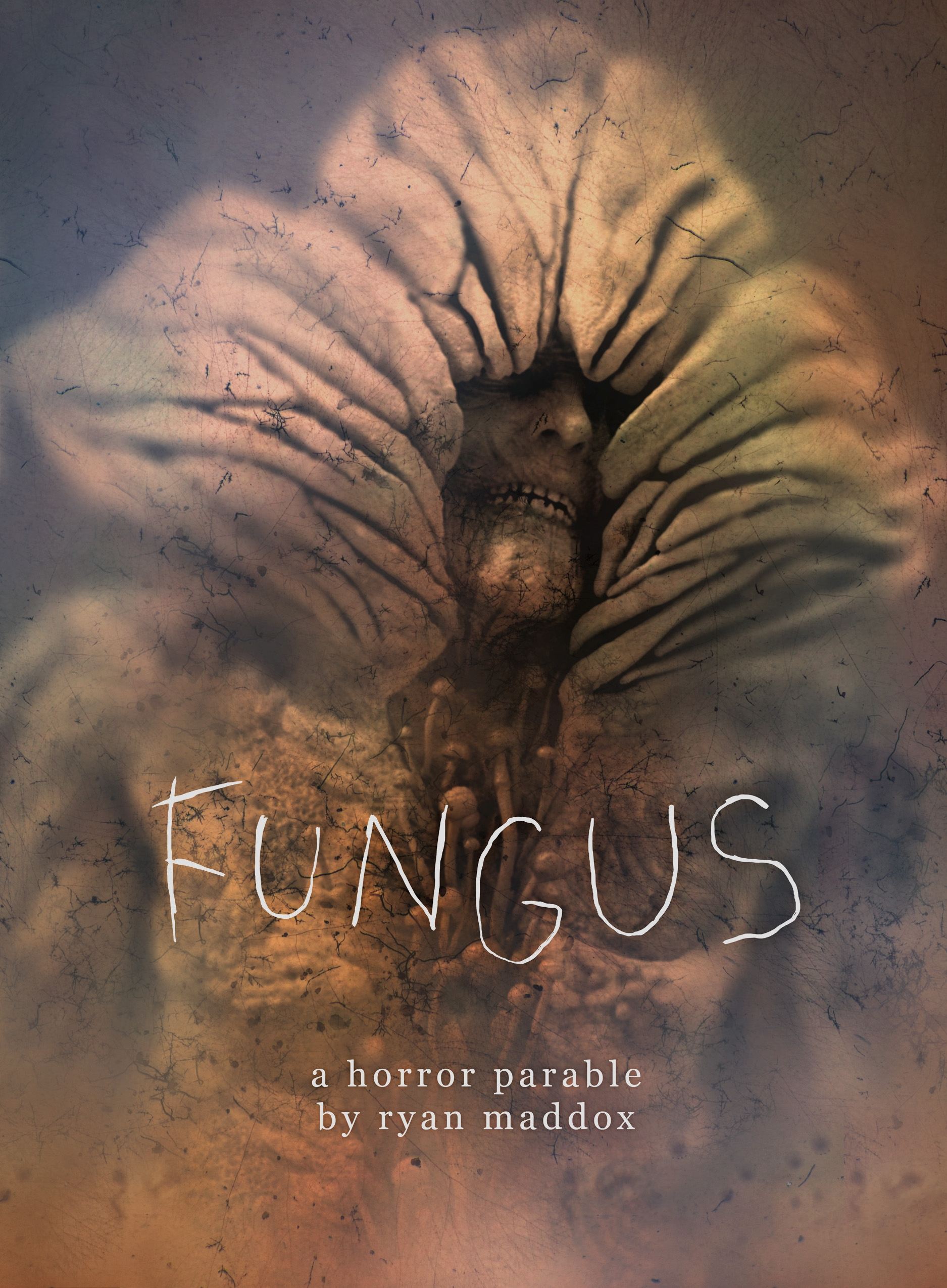 Fungus - Bild 1 von 7