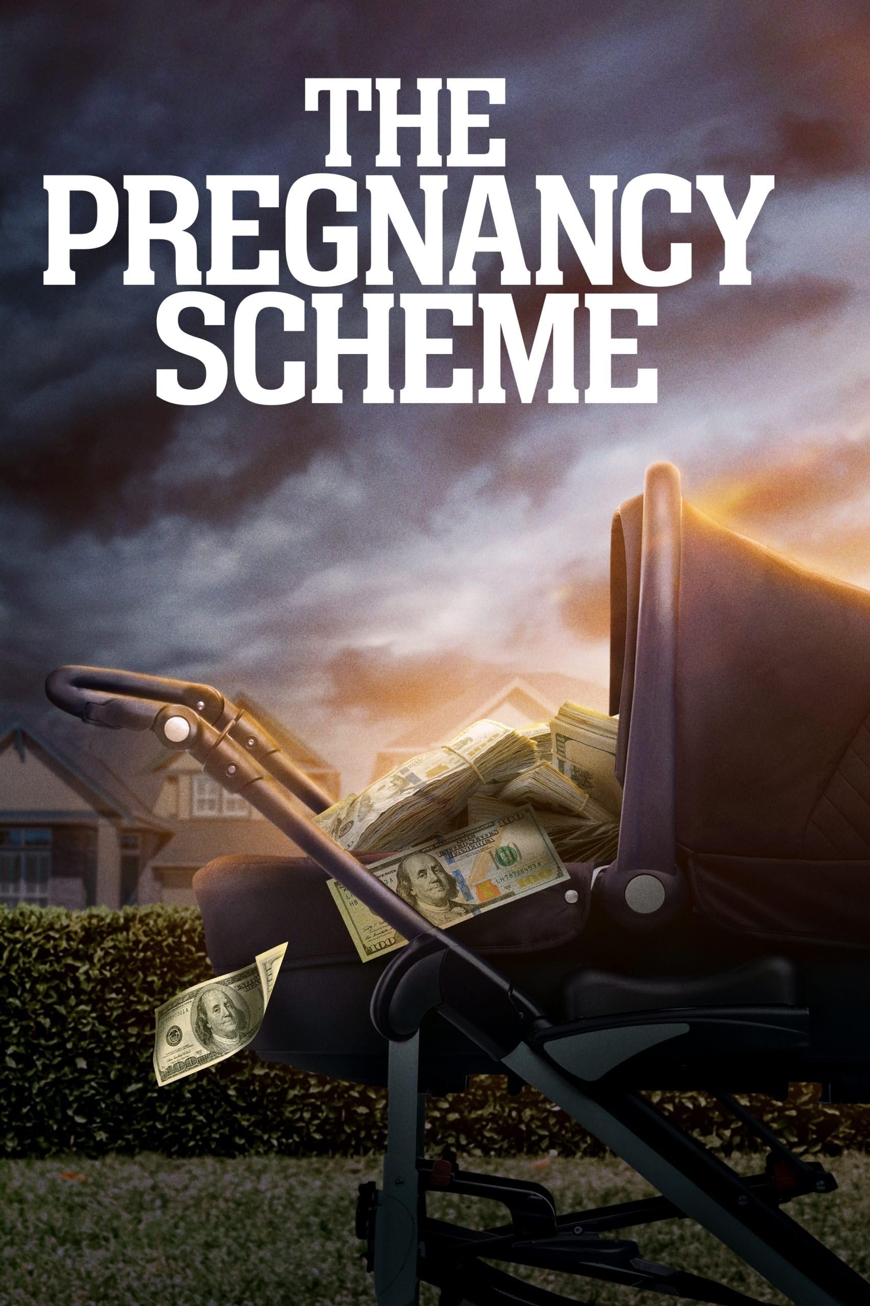 The Pregnancy Scheme - Bild 1 von 4