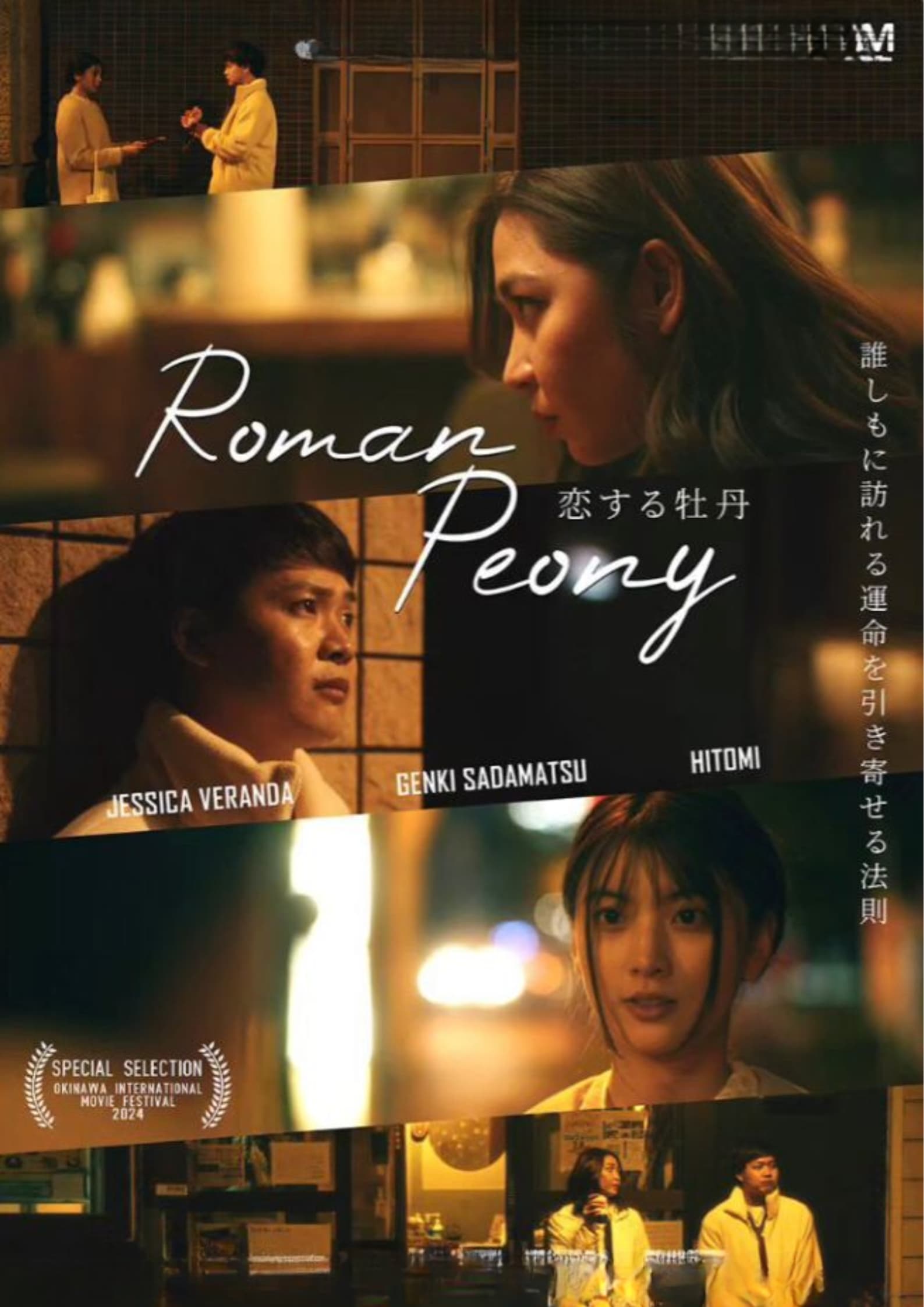 Roman Peony - Bild 1 von 4
