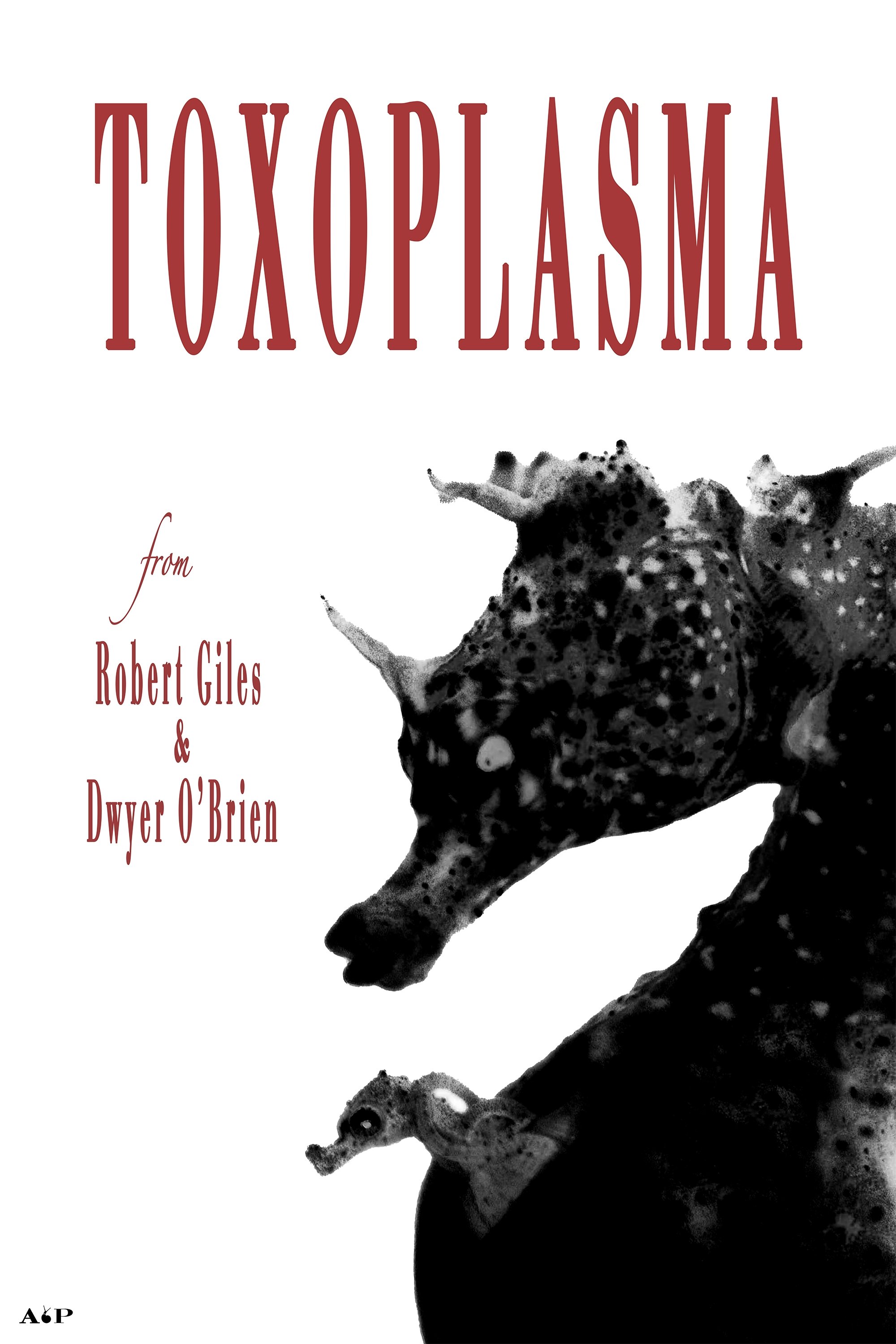 Toxoplasma - Bild 1 von 11