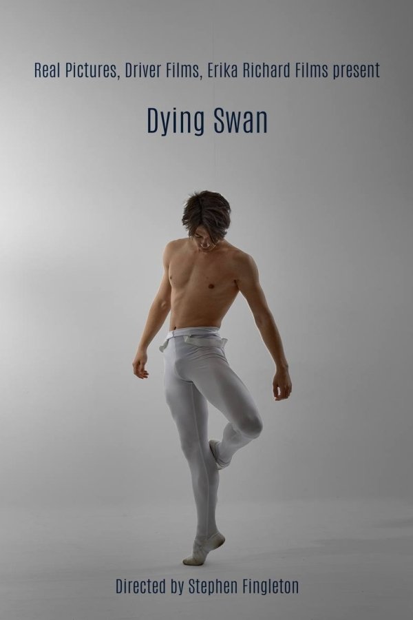 Dying Swan - Bild 1 von 2