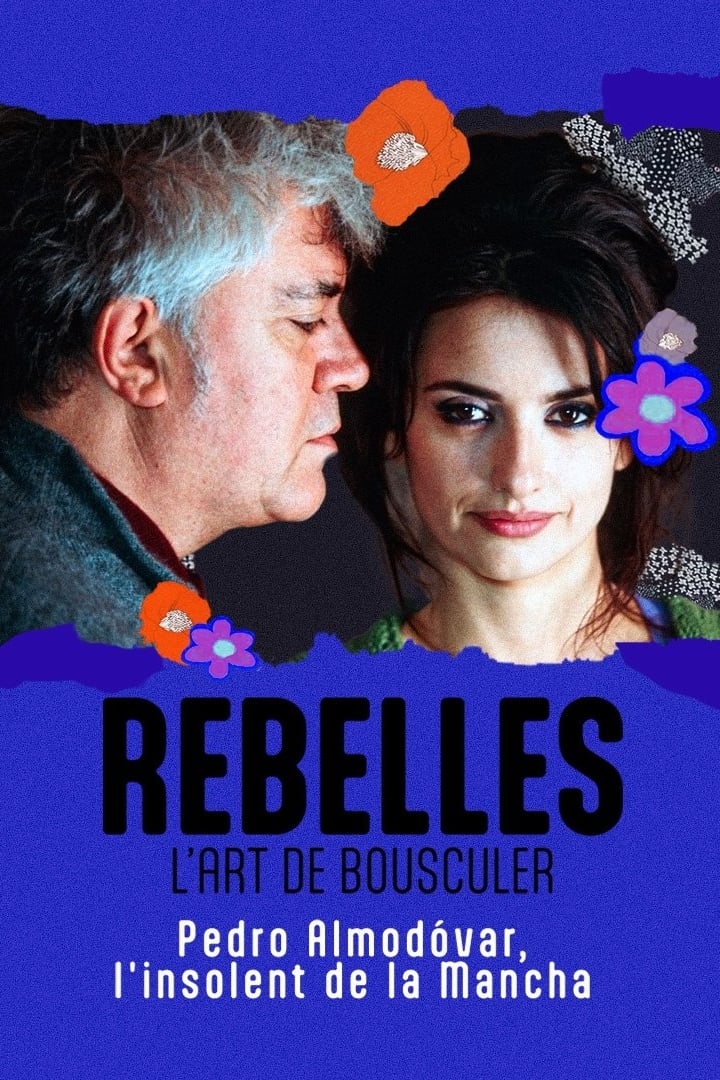 Almodóvar, l'insolent de la Mancha - Bild 1 von 3