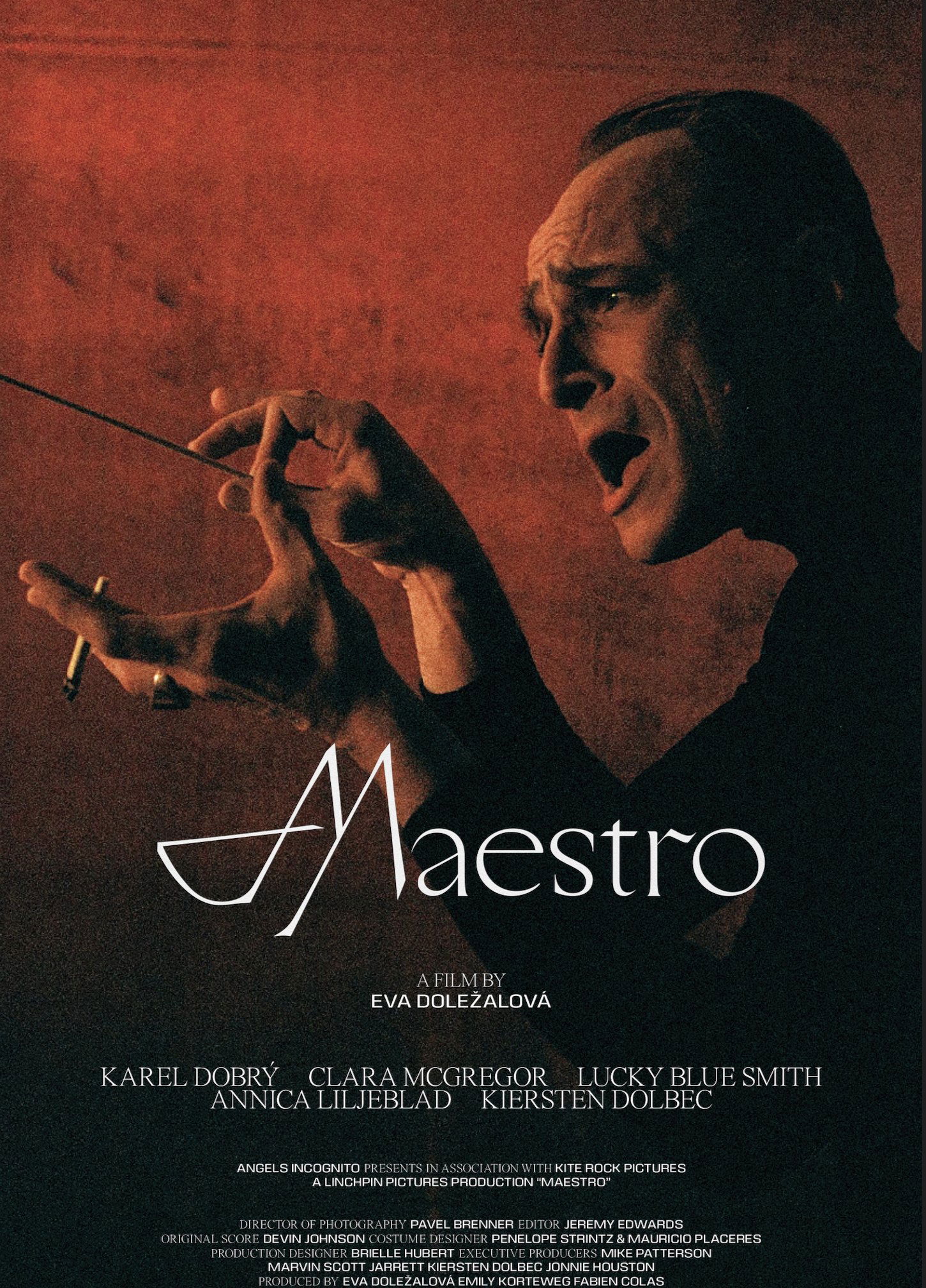 Maestro - Bild 1 von 9