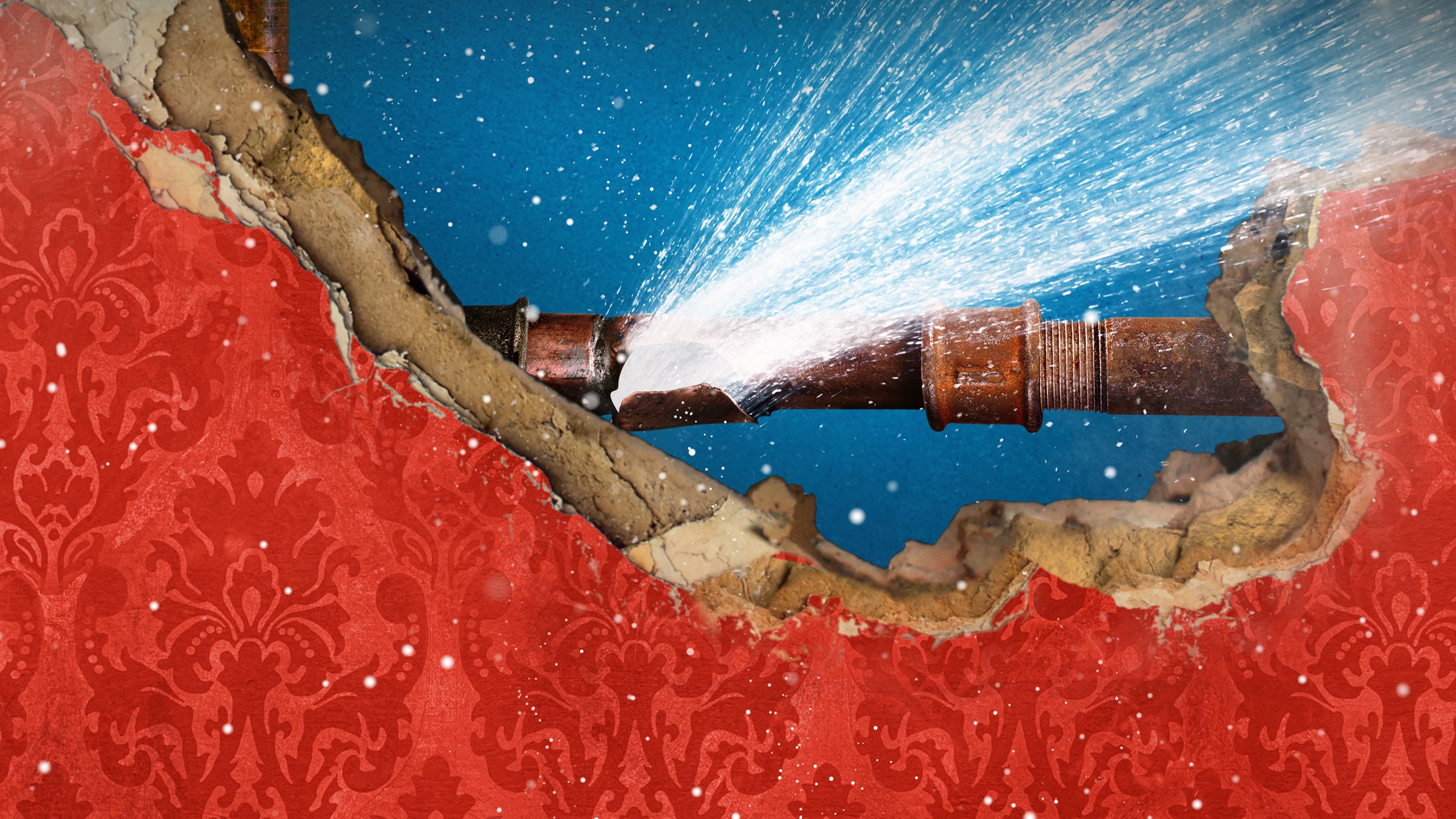 Thumbnail 5 von 5