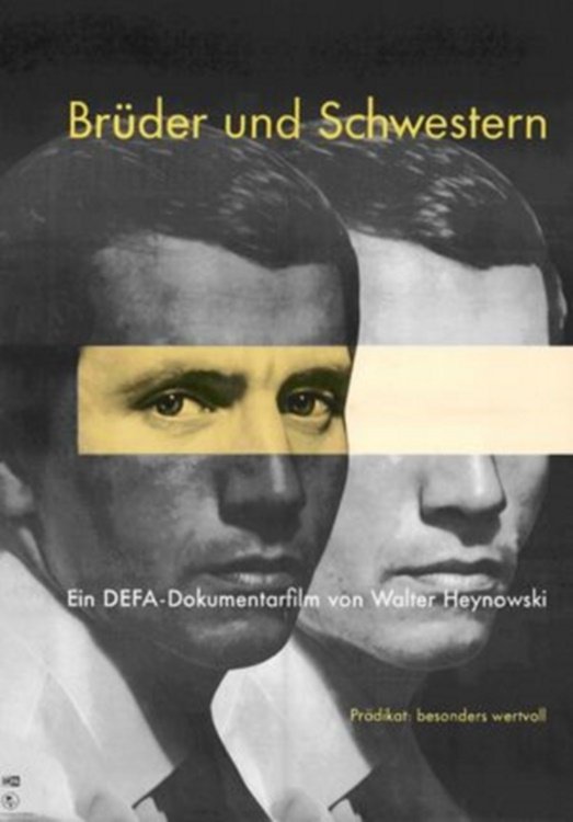 Brüder und Schwestern - Bild 1 von 2