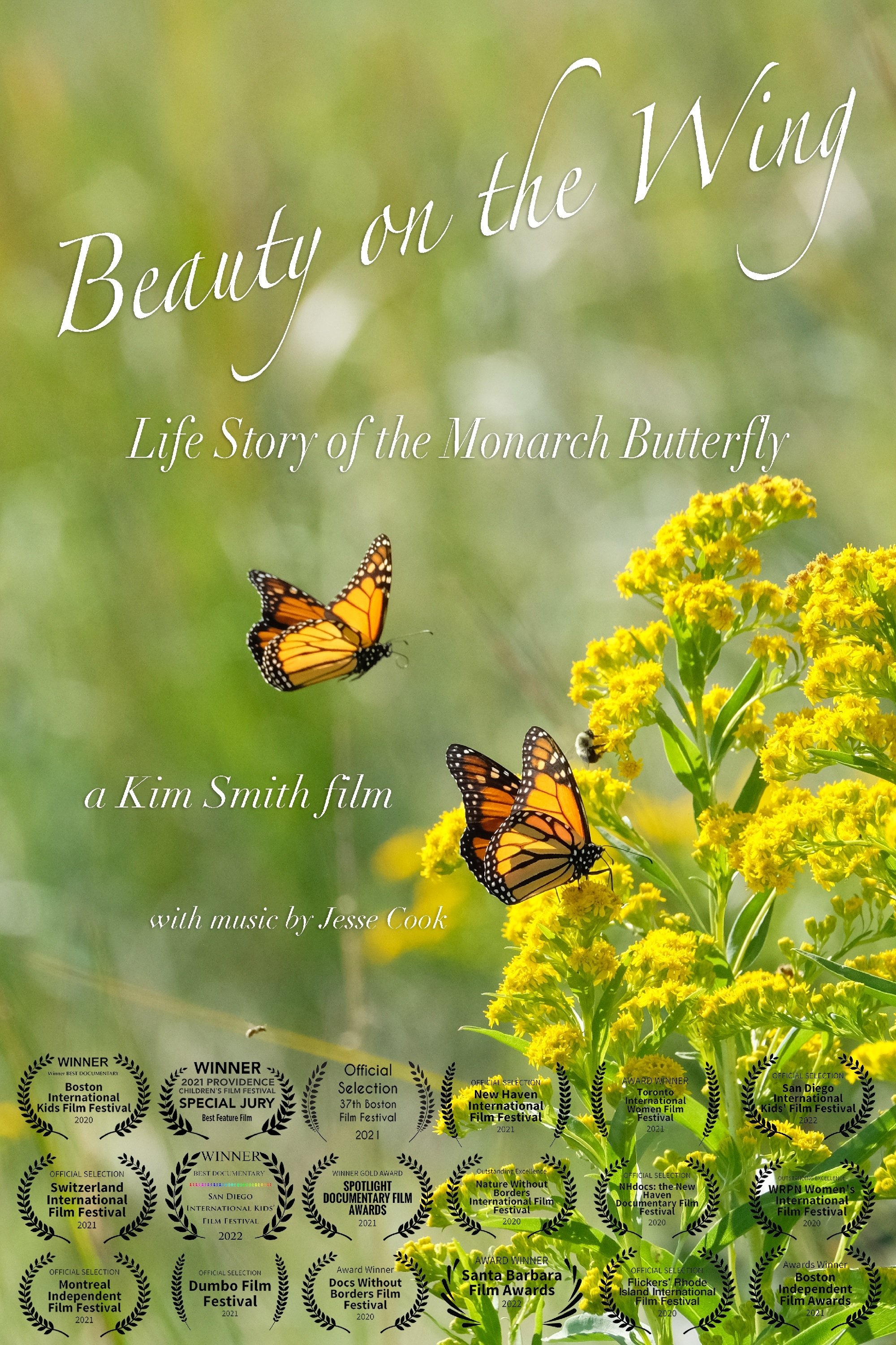 Beauty on the Wing: Life Story of the Monarch Butterfly - Bild 1 von 4