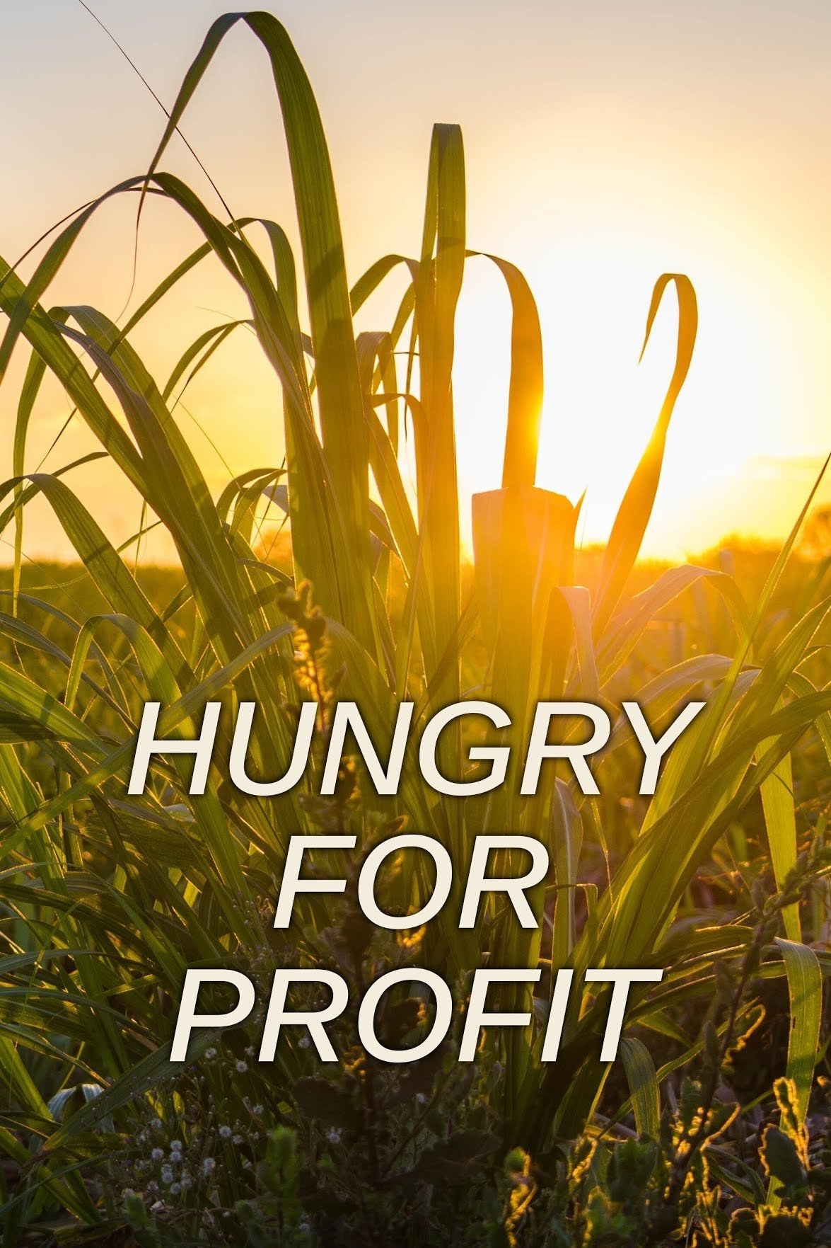 Hungry for Profit - Bild 1 von 2