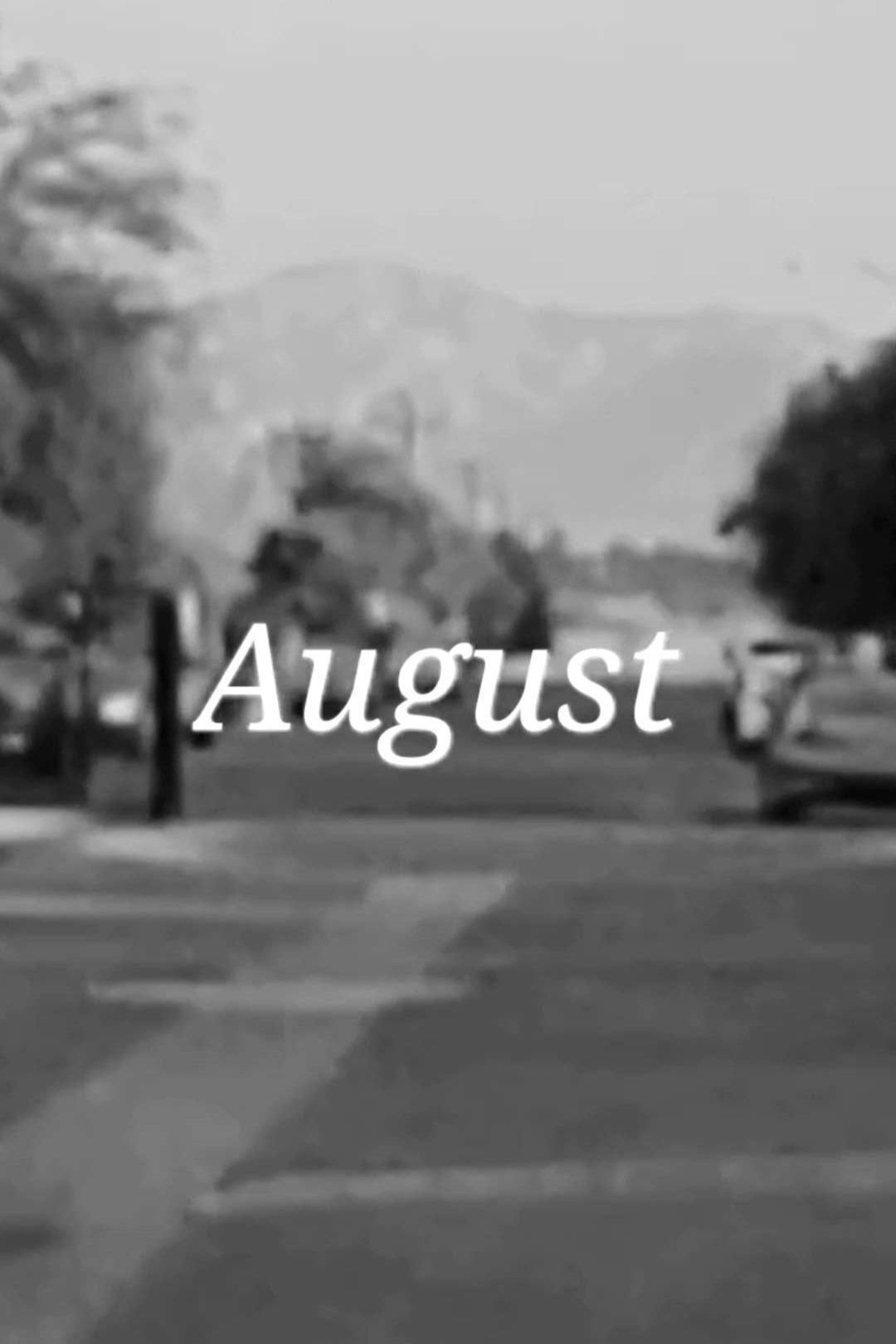 August - Bild 1 von 7