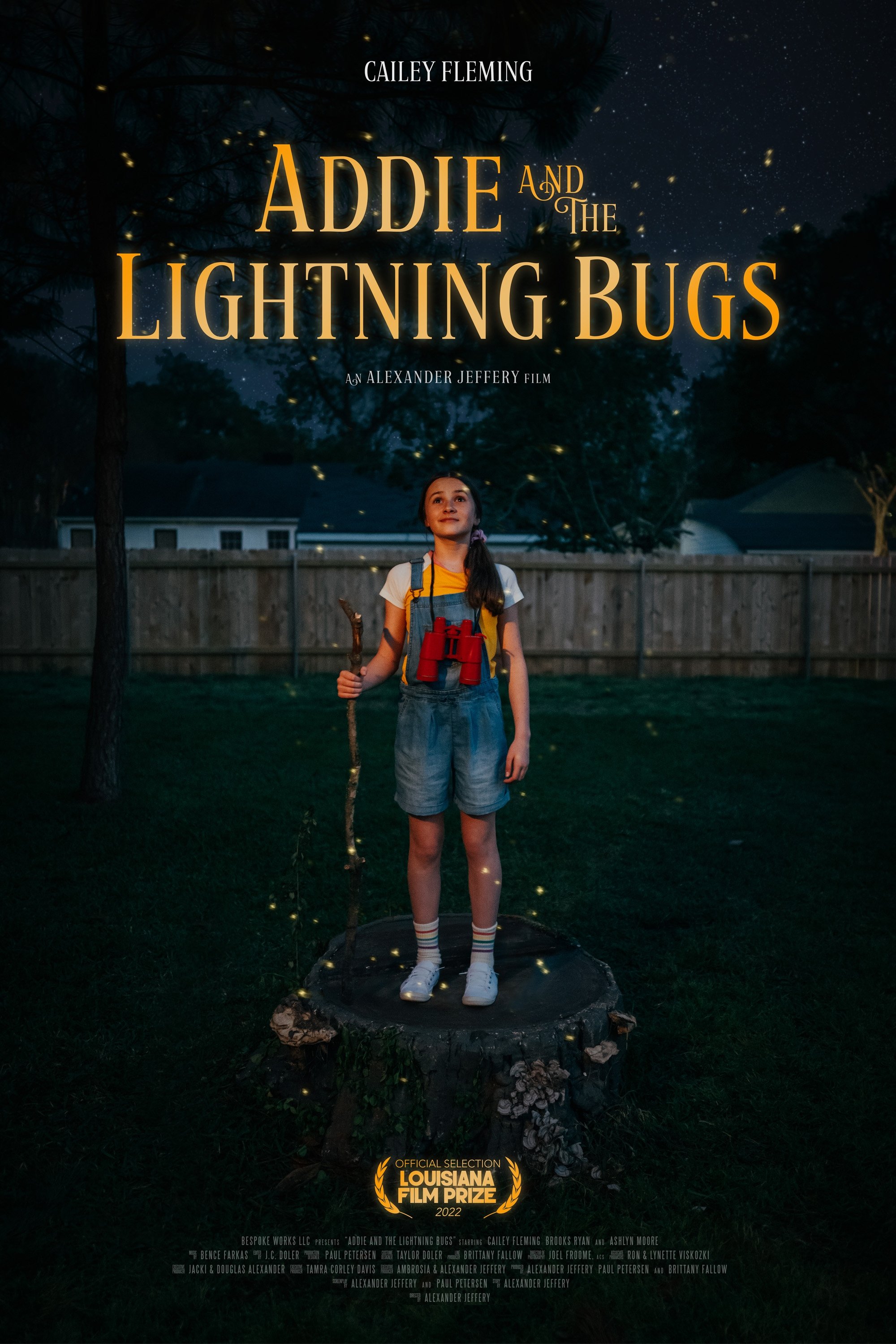 Addie and the Lightning Bugs - Bild 1 von 2