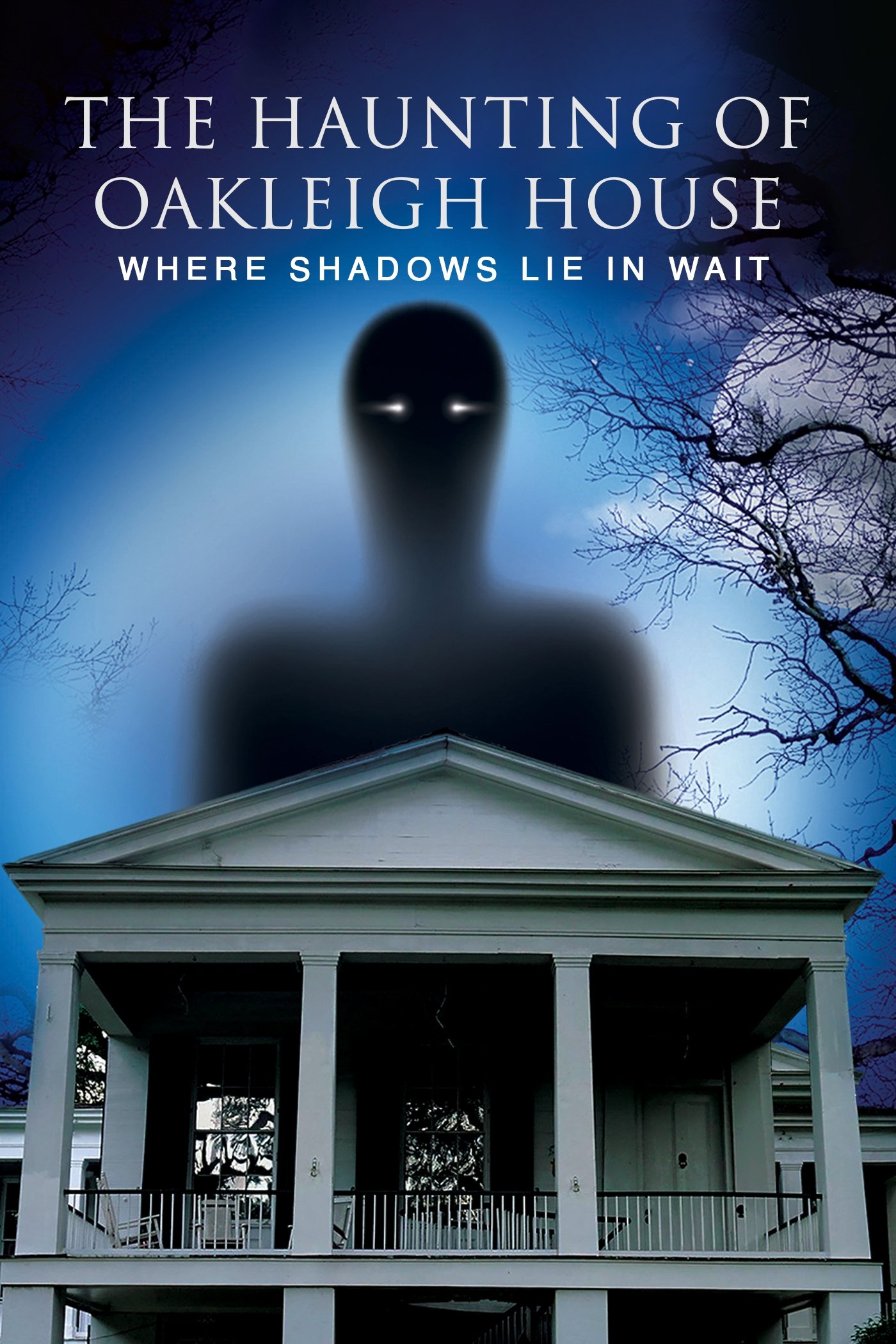 The Haunting of Oakleigh House: Where Shadows Lie in Wait - Bild 1 von 2
