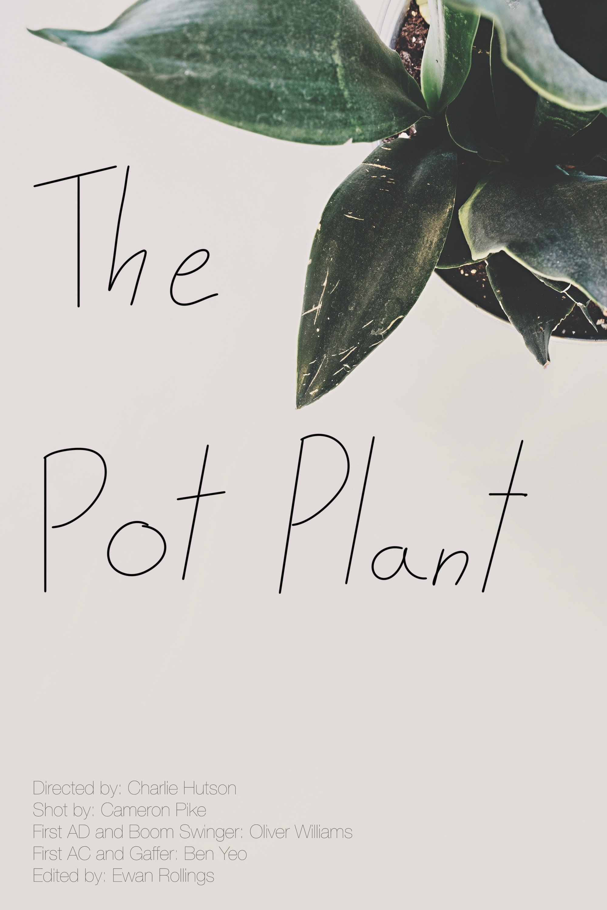 The Pot Plant - Bild 1 von 5