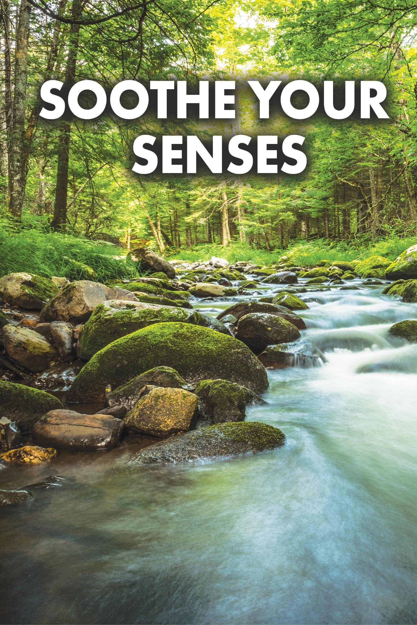 Soothe Your Senses - Bild 1 von 2