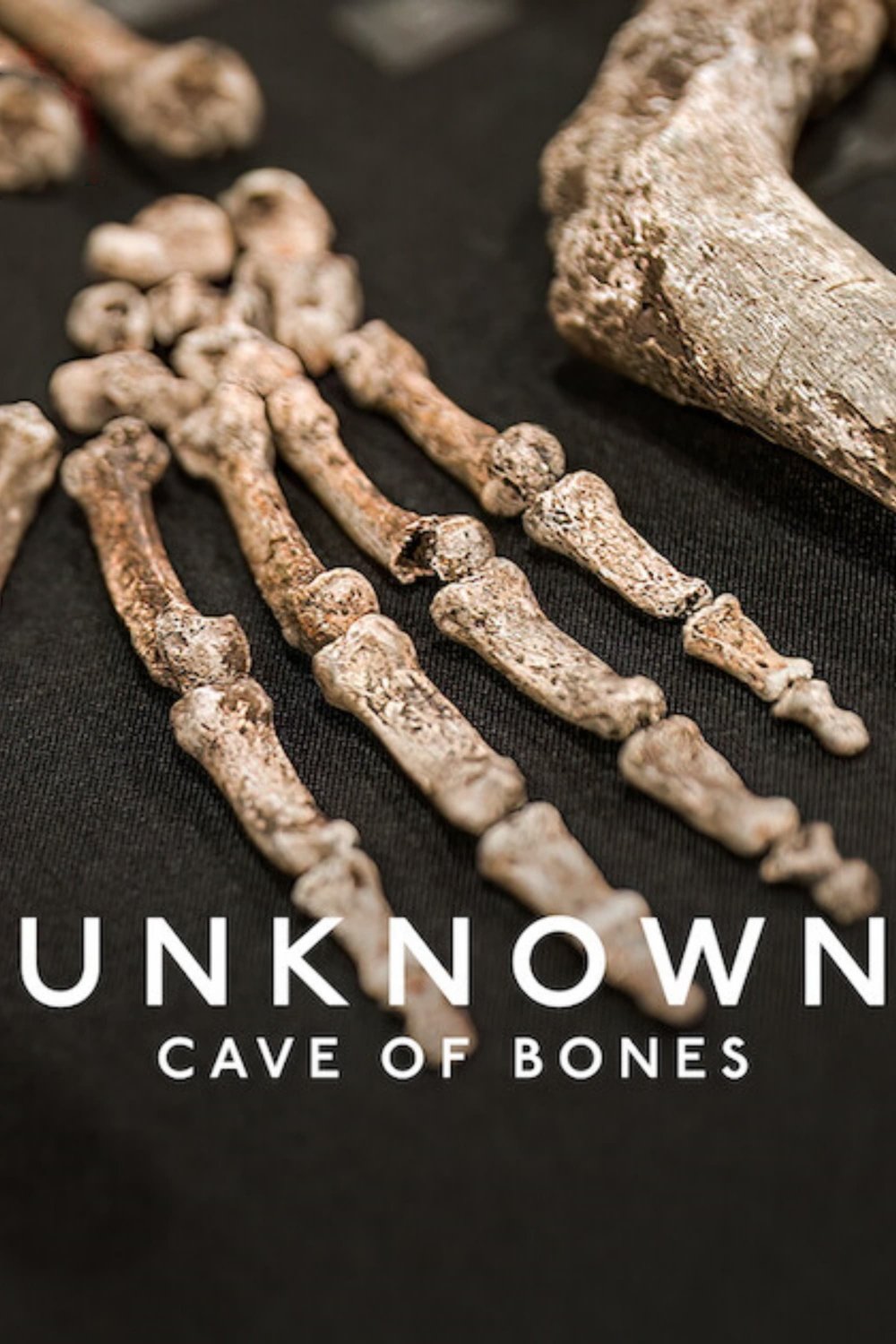 Unknown: Cave of Bones - Bild 1 von 8