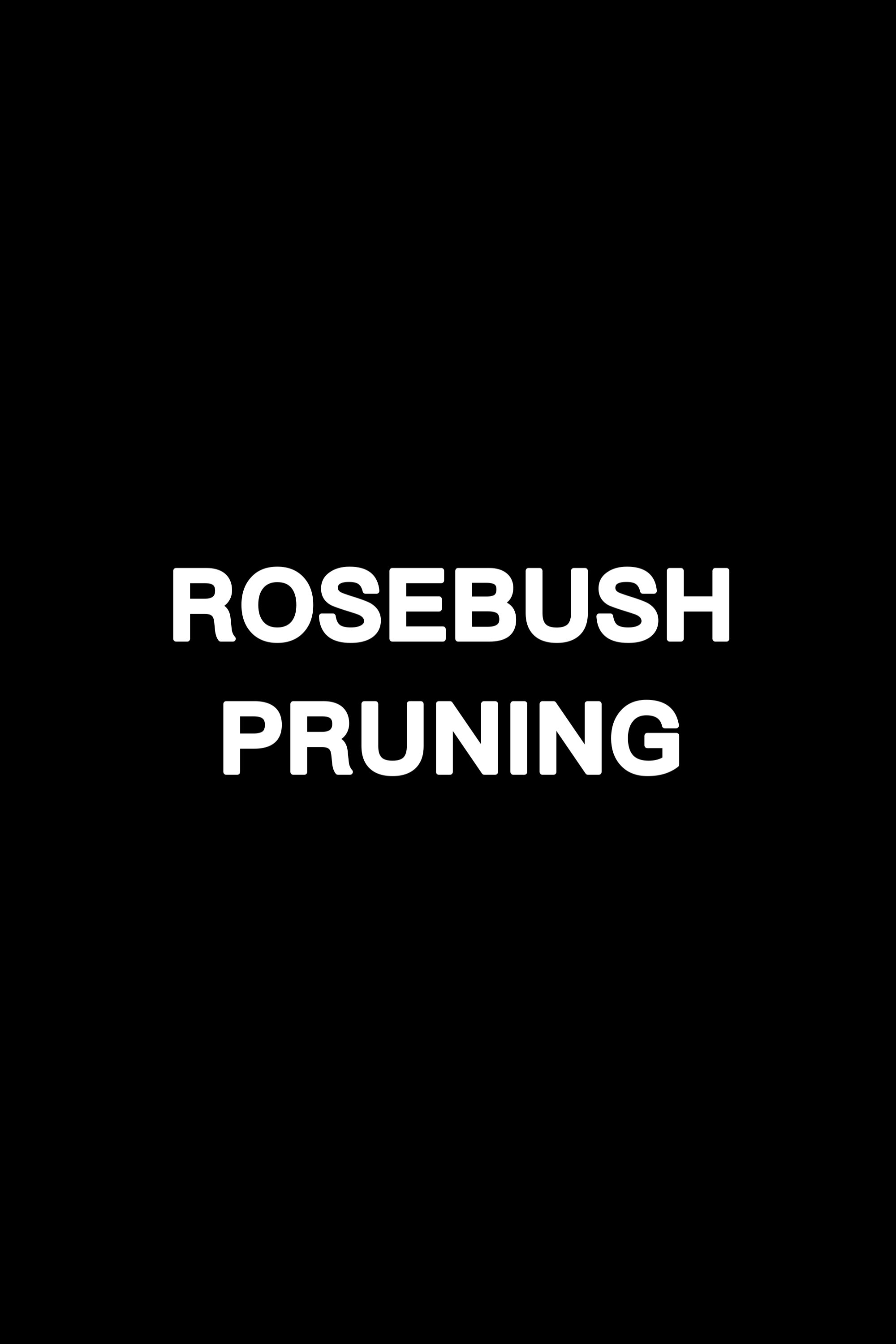 Rosebush Pruning - Bild 1 von 3