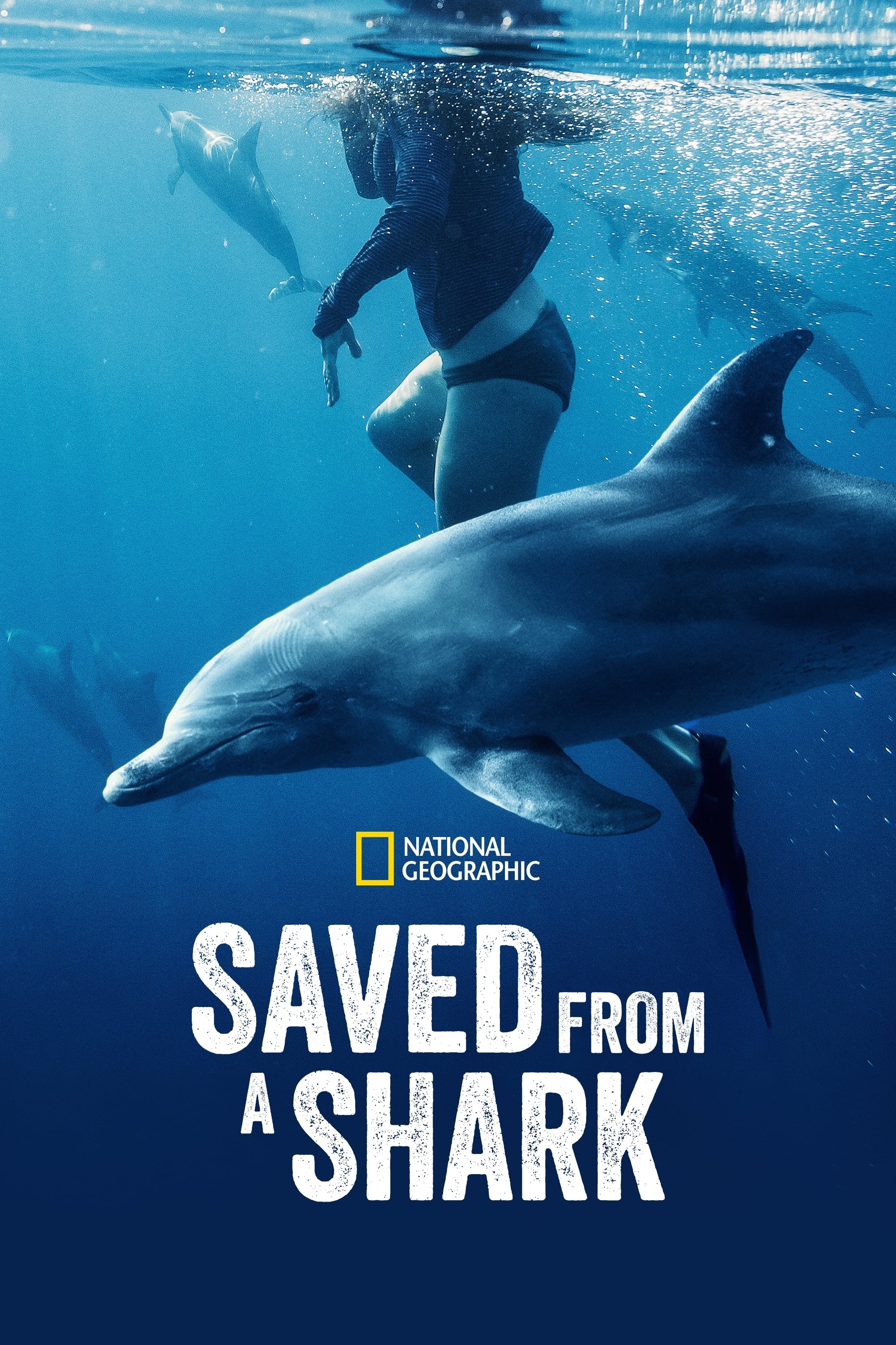 Saved From a Shark - Bild 1 von 11