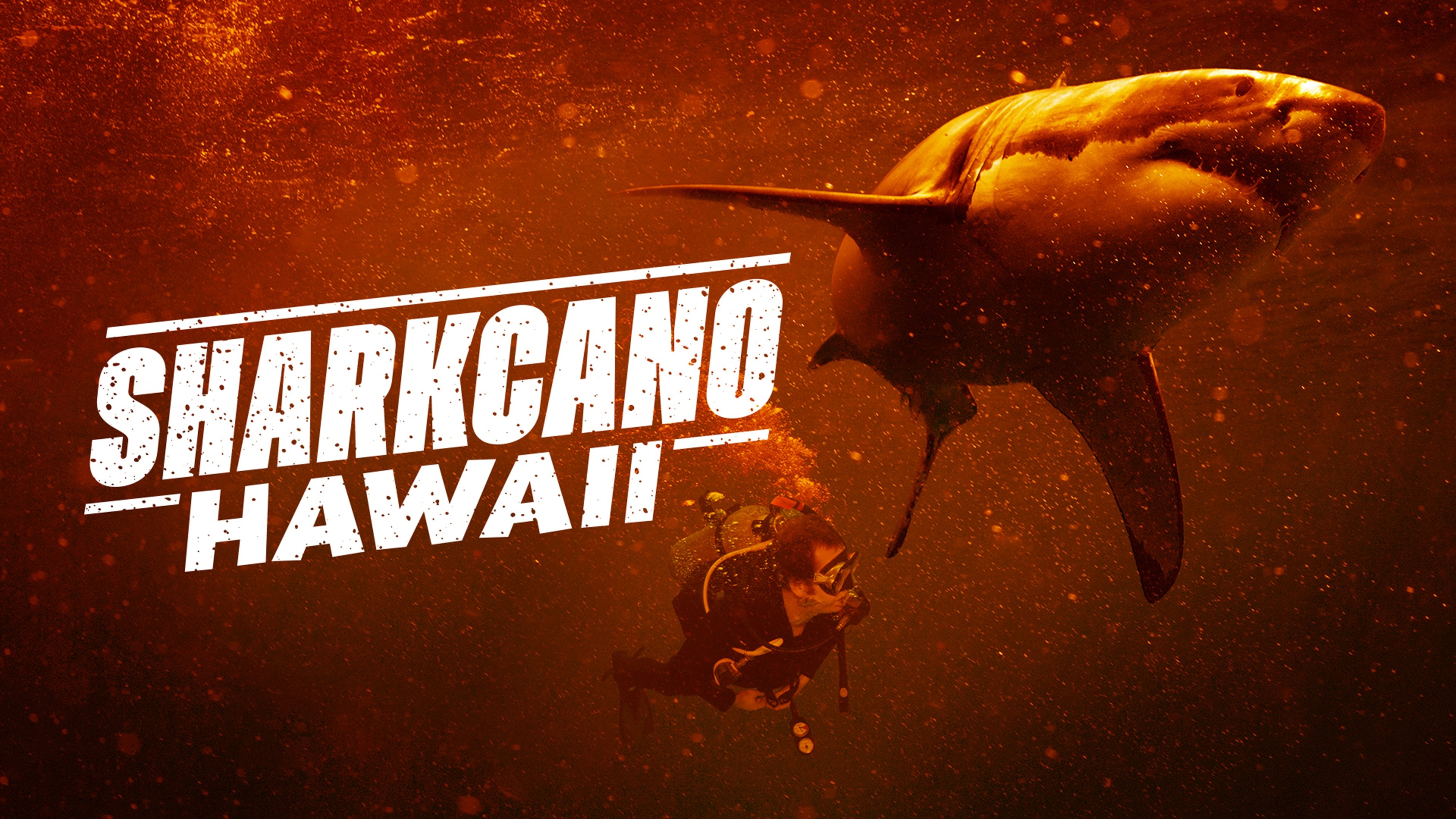 Thumbnail 2 von 11