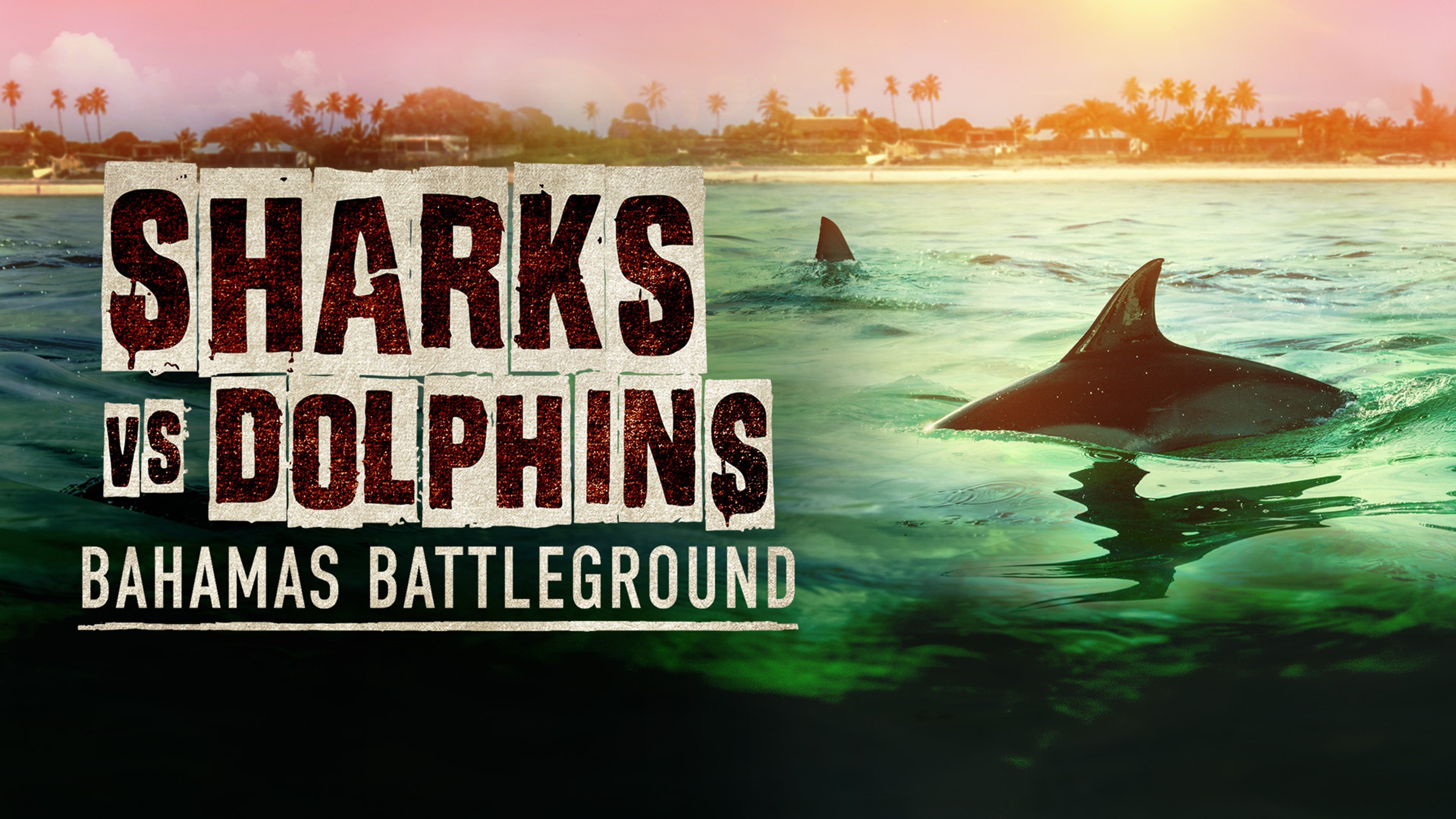 Thumbnail 2 von 5