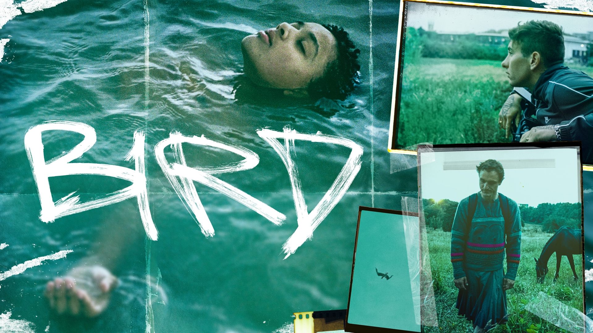 Thumbnail 4 von 13