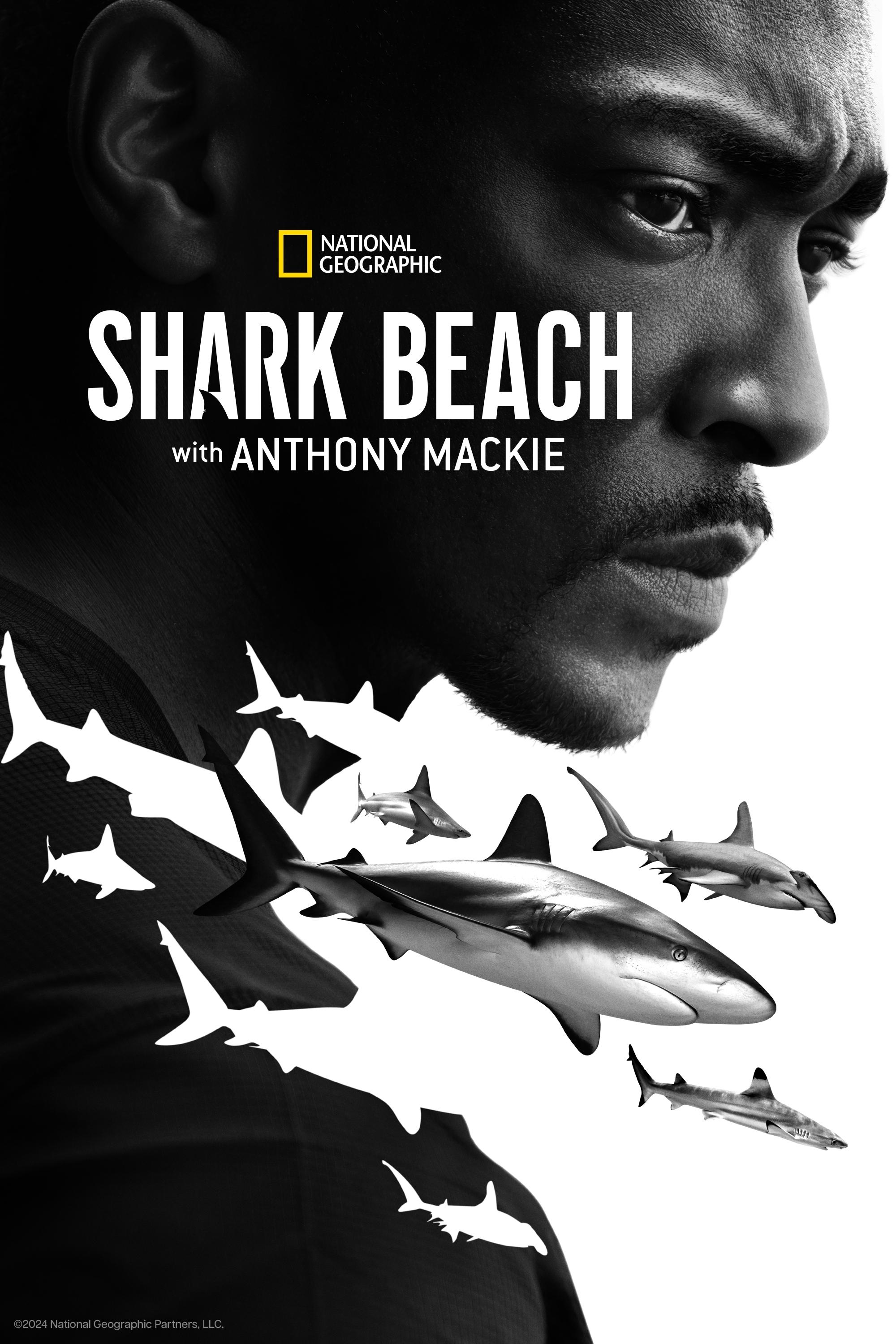 Shark Beach with Anthony Mackie - Bild 1 von 11