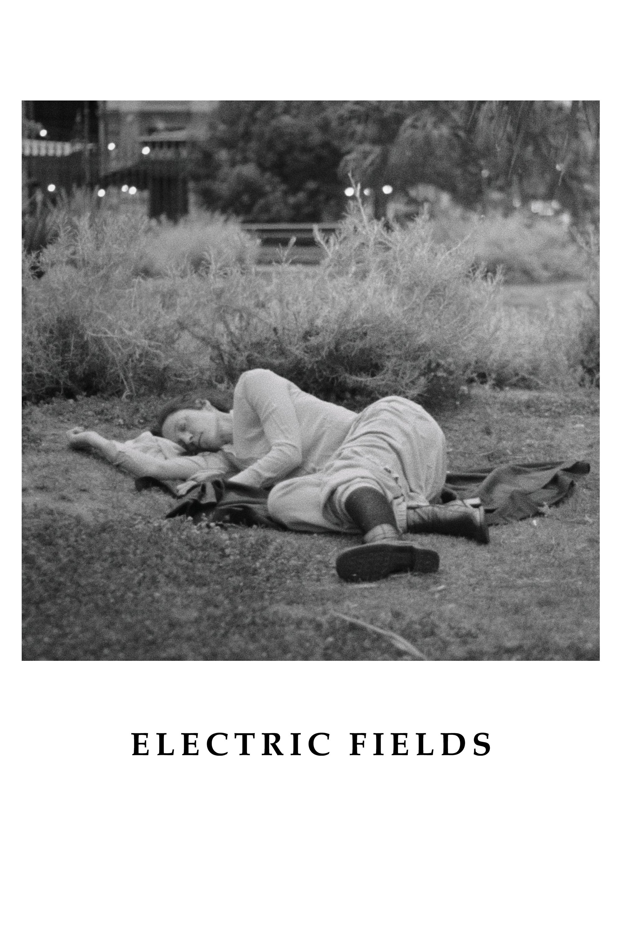 Electric Fields - Bild 1 von 4