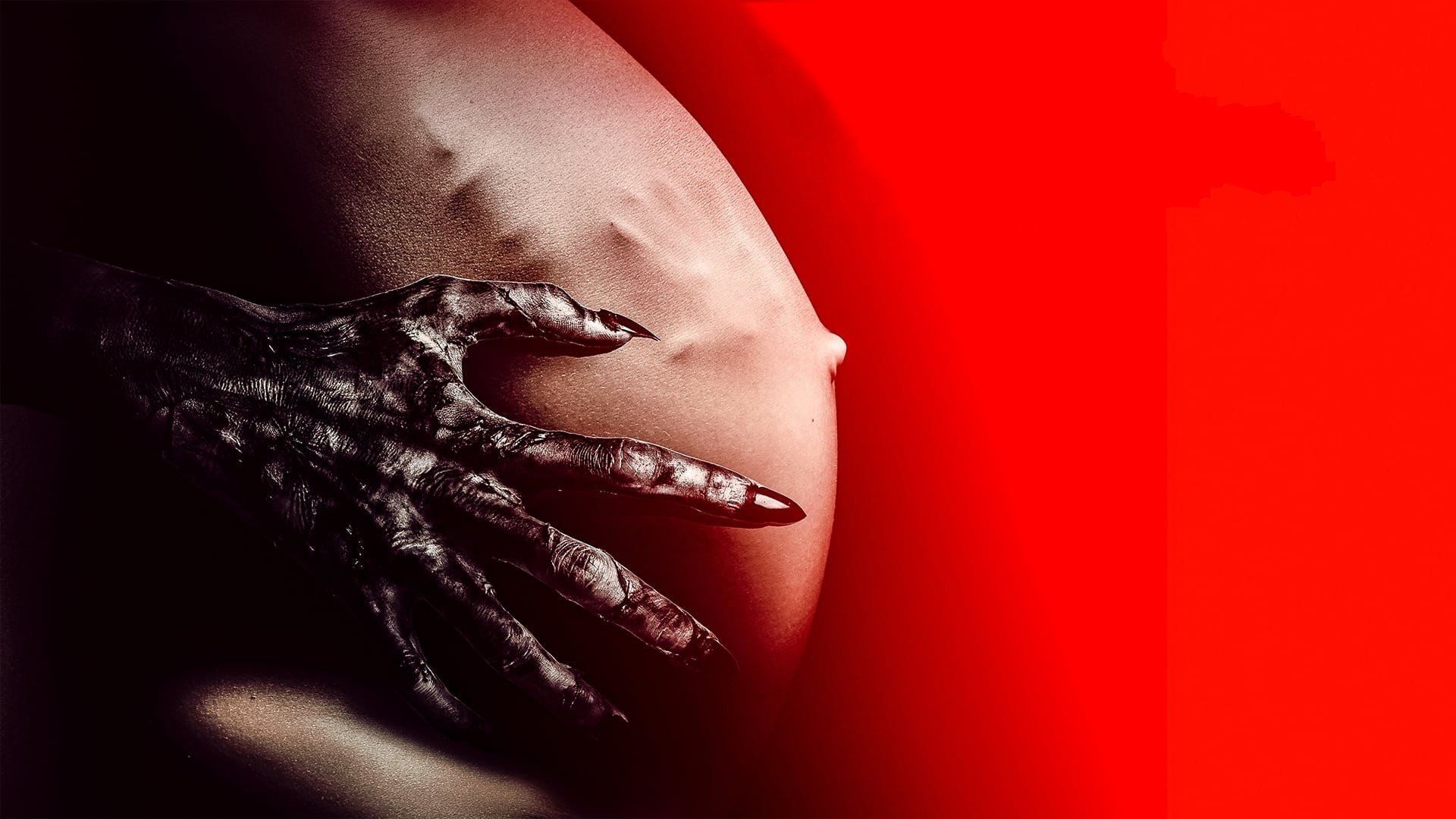 Thumbnail 8 von 11