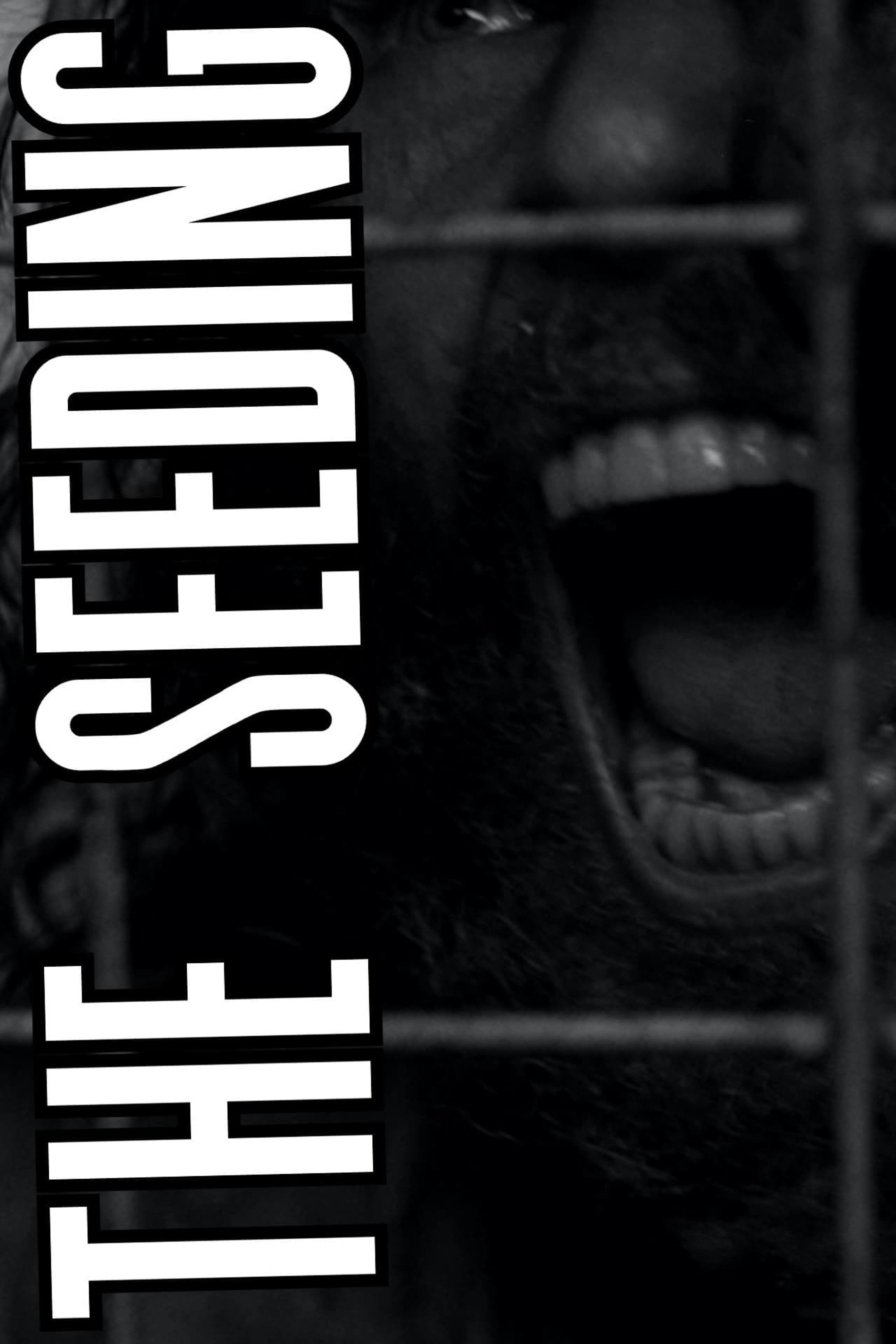 Thumbnail 5 von 11
