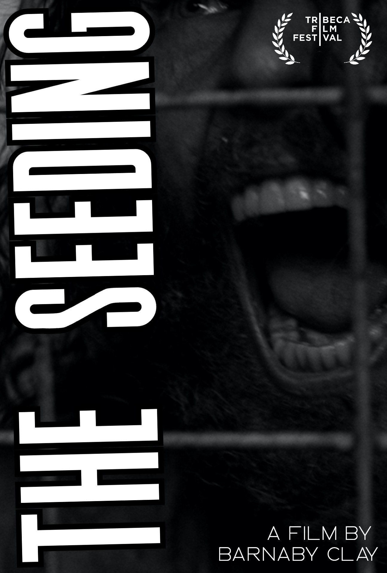 Thumbnail 7 von 11