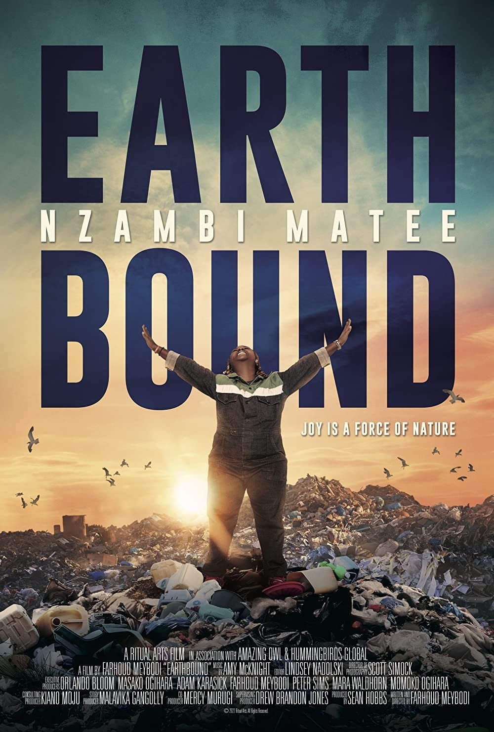 Earthbound: Nzambi Matee - Bild 1 von 3