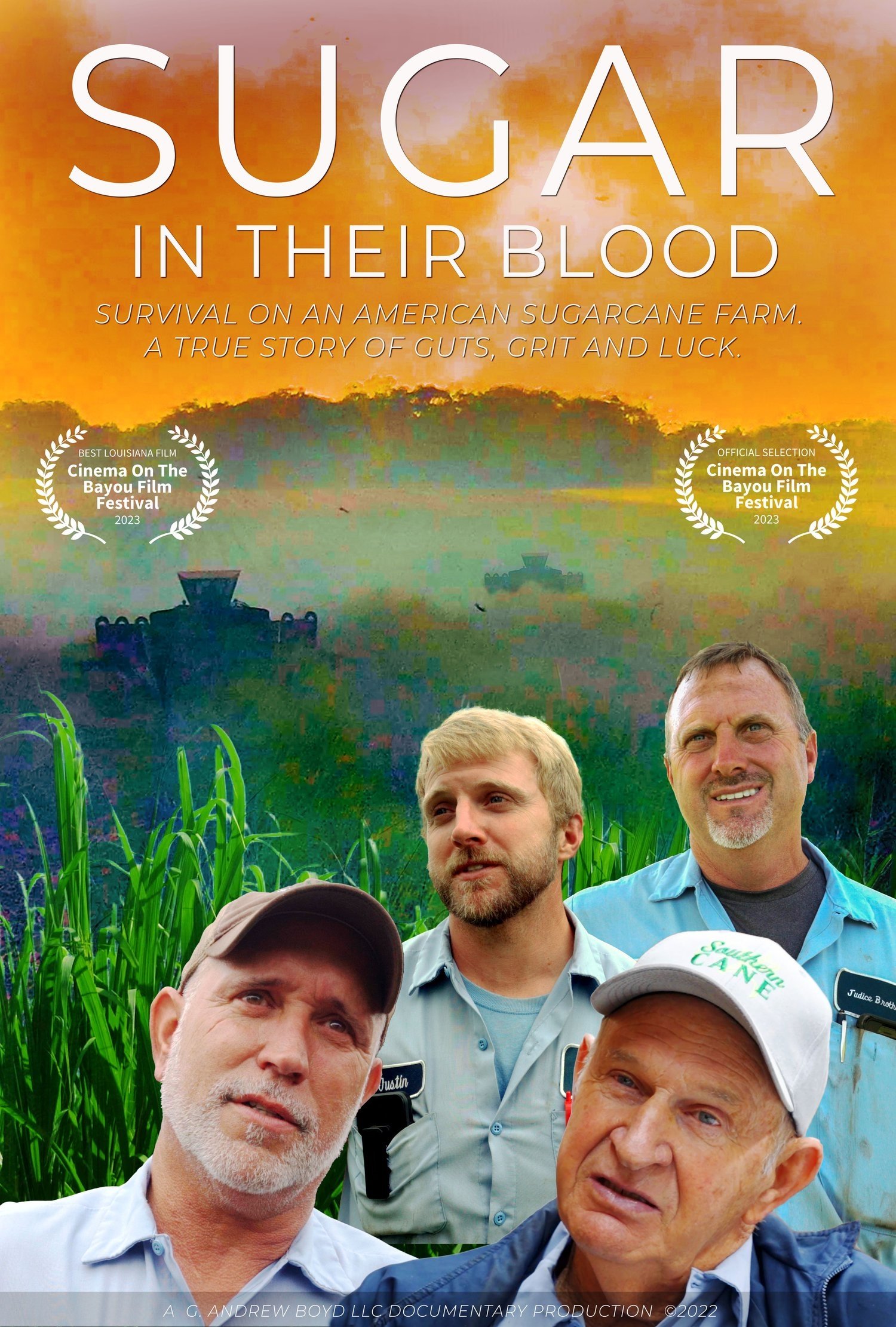 Sugar in Their Blood - Bild 1 von 3