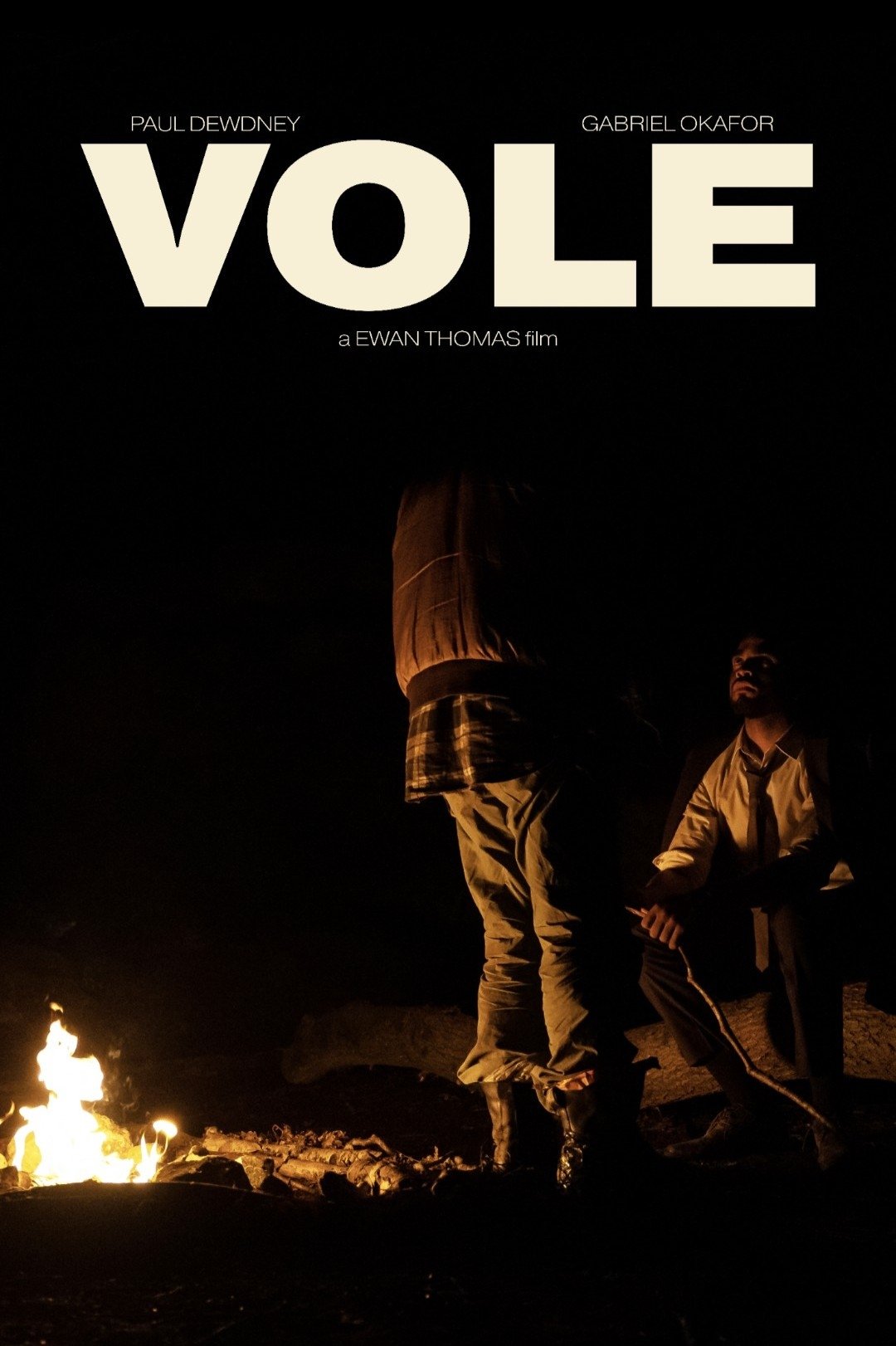 Vole - Bild 1 von 3