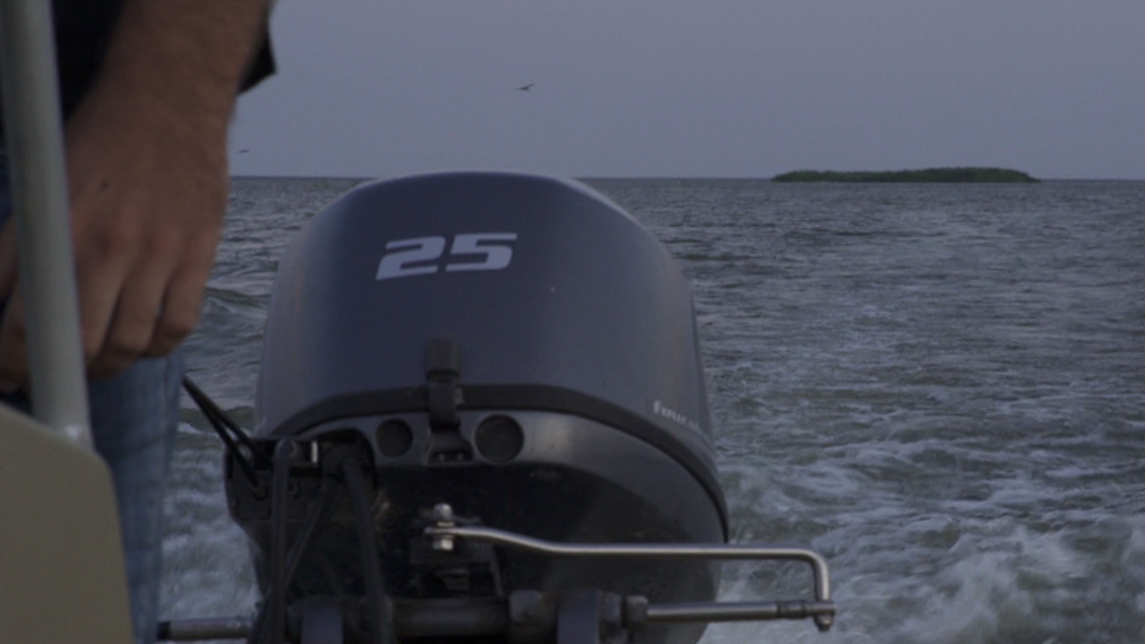 Thumbnail 3 von 5