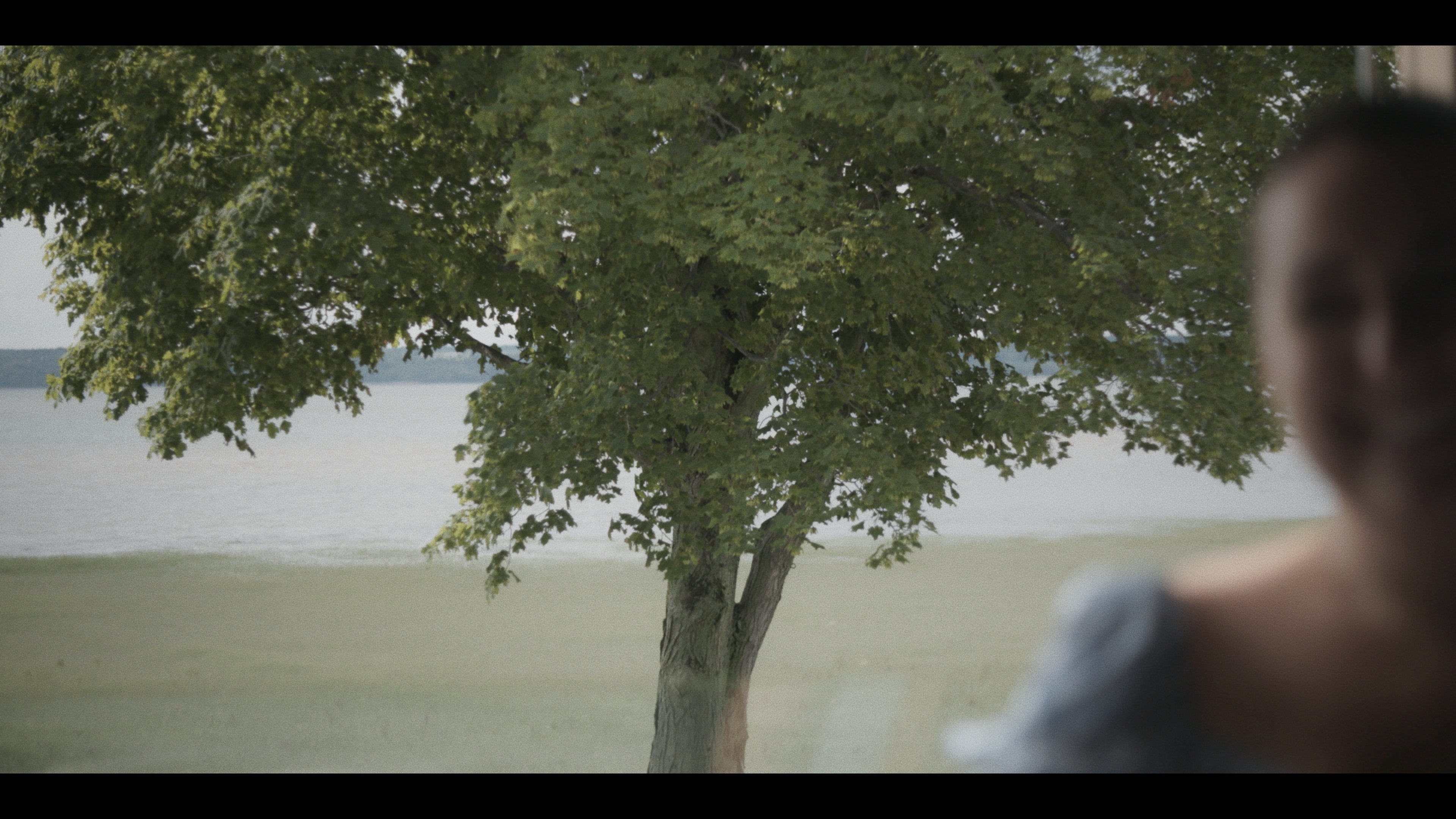 Thumbnail 4 von 10
