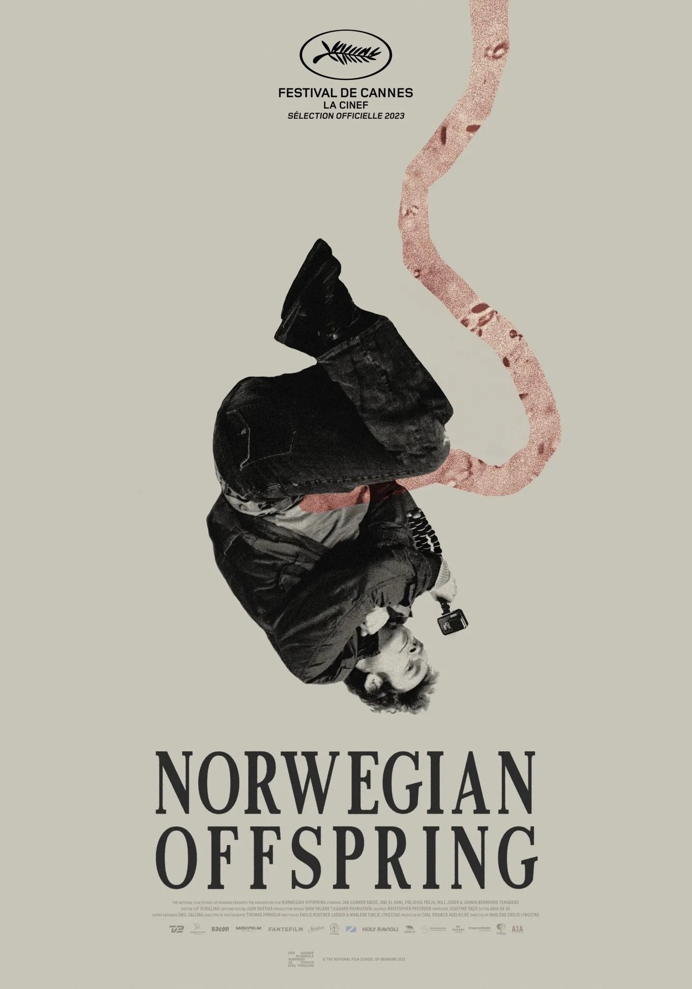 Norwegian Offspring - Bild 1 von 2