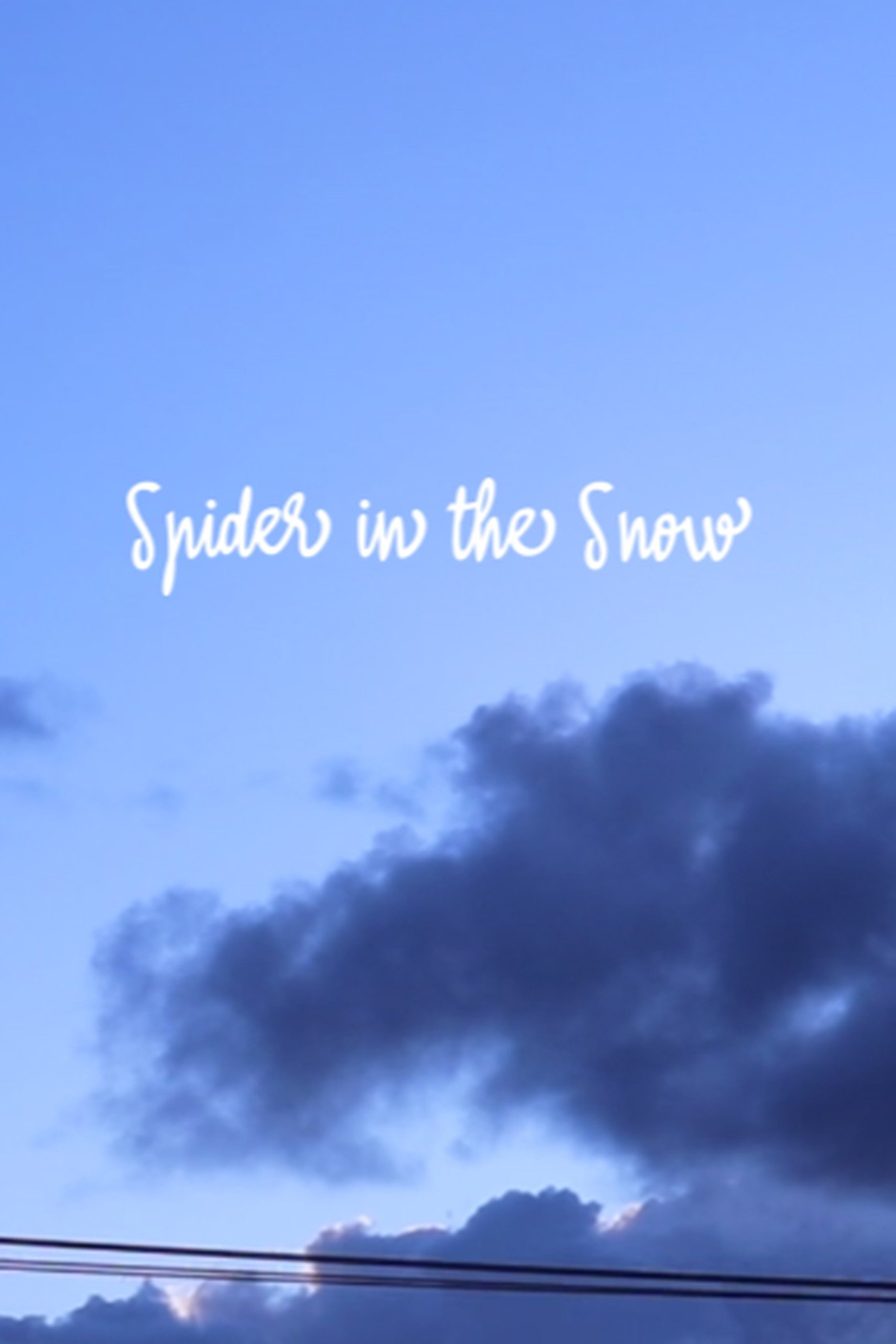 Spider in the Snow - Bild 1 von 3