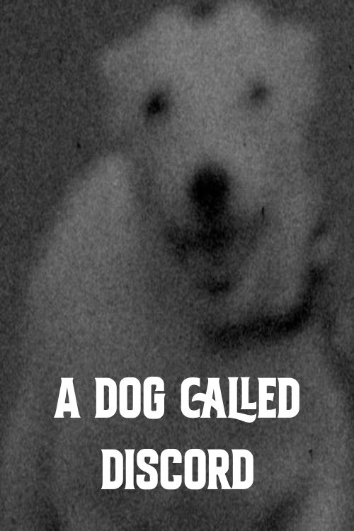 A Dog Called Discord - Bild 1 von 3