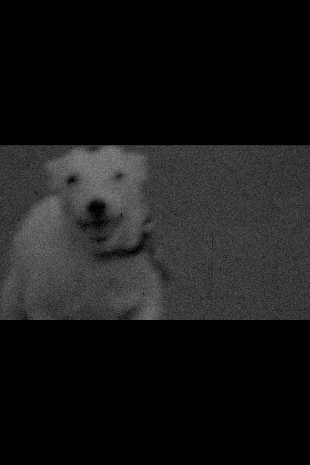 Thumbnail 3 von 3