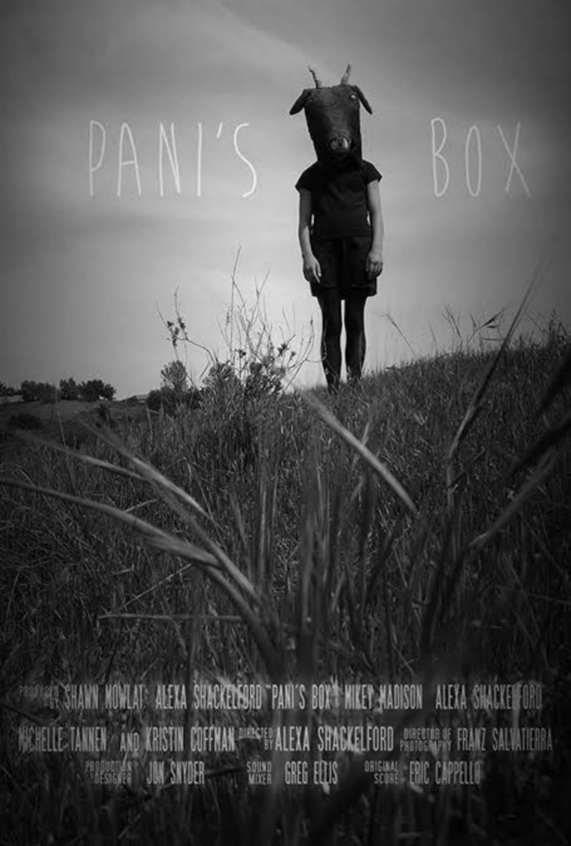 Pani's Box - Bild 1 von 4
