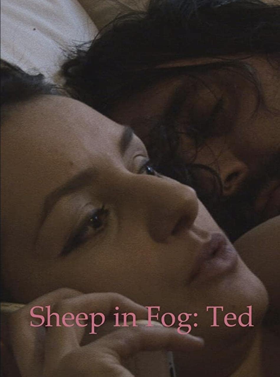 Sheep in Fog - Bild 1 von 2