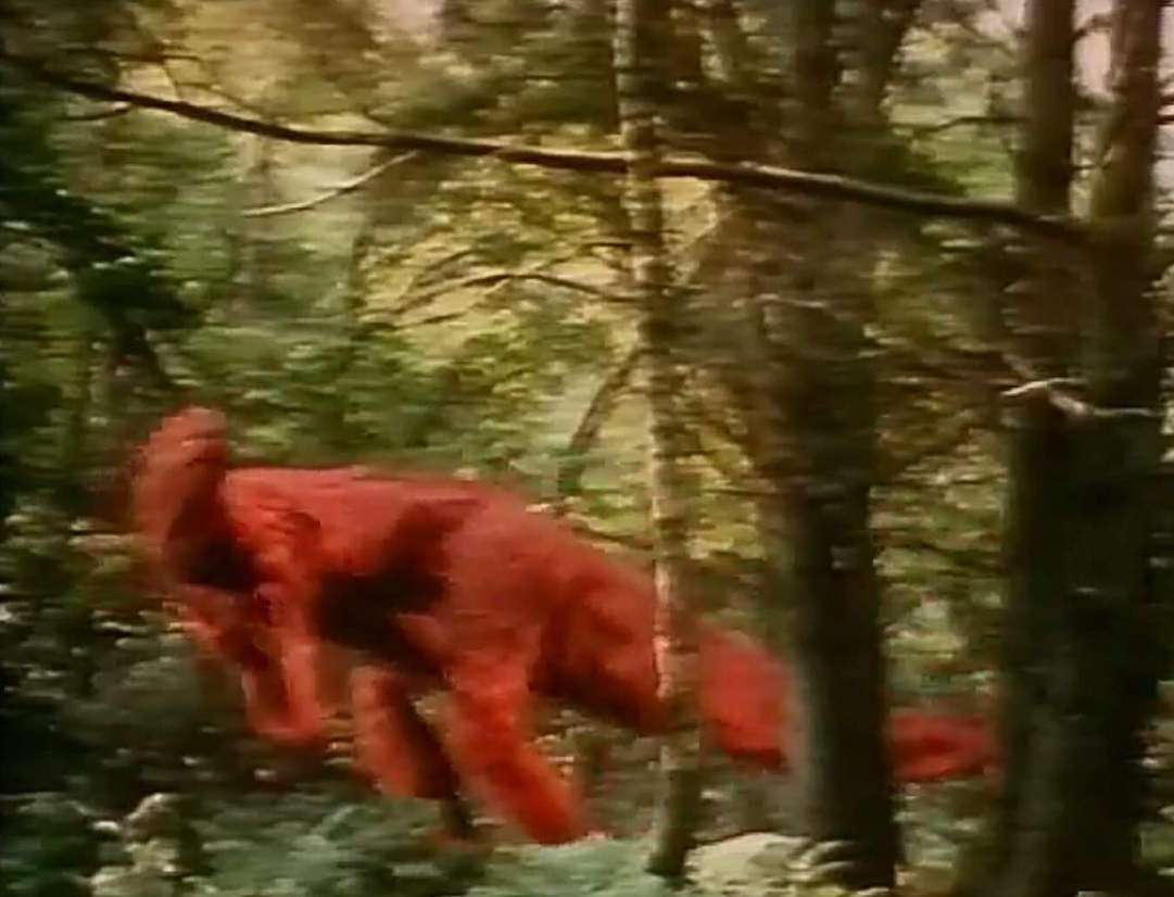 Dinosaurs: Fun Fact and Fantasy - Bild 1 von 2