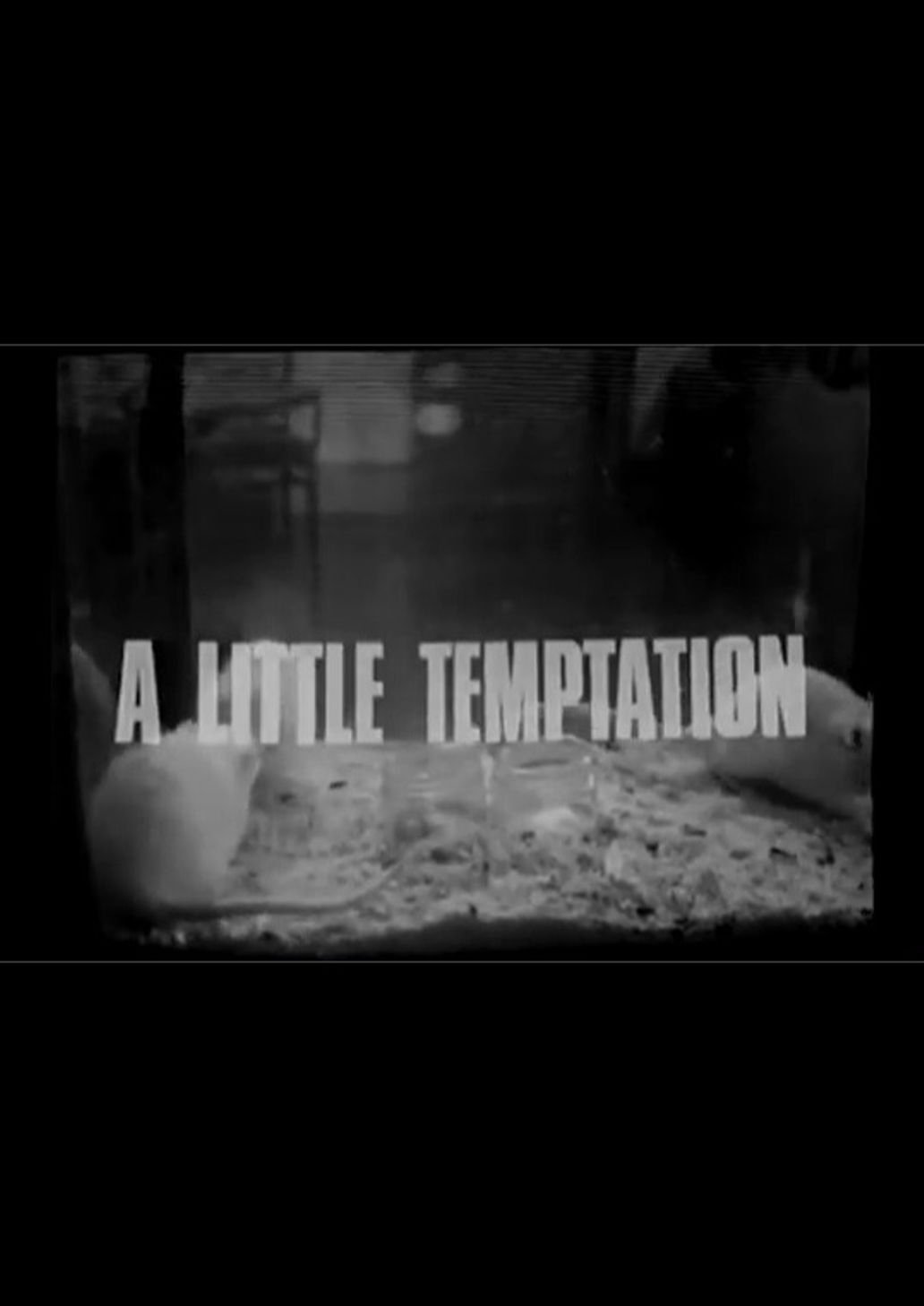A Little Temptation - Bild 1 von 2