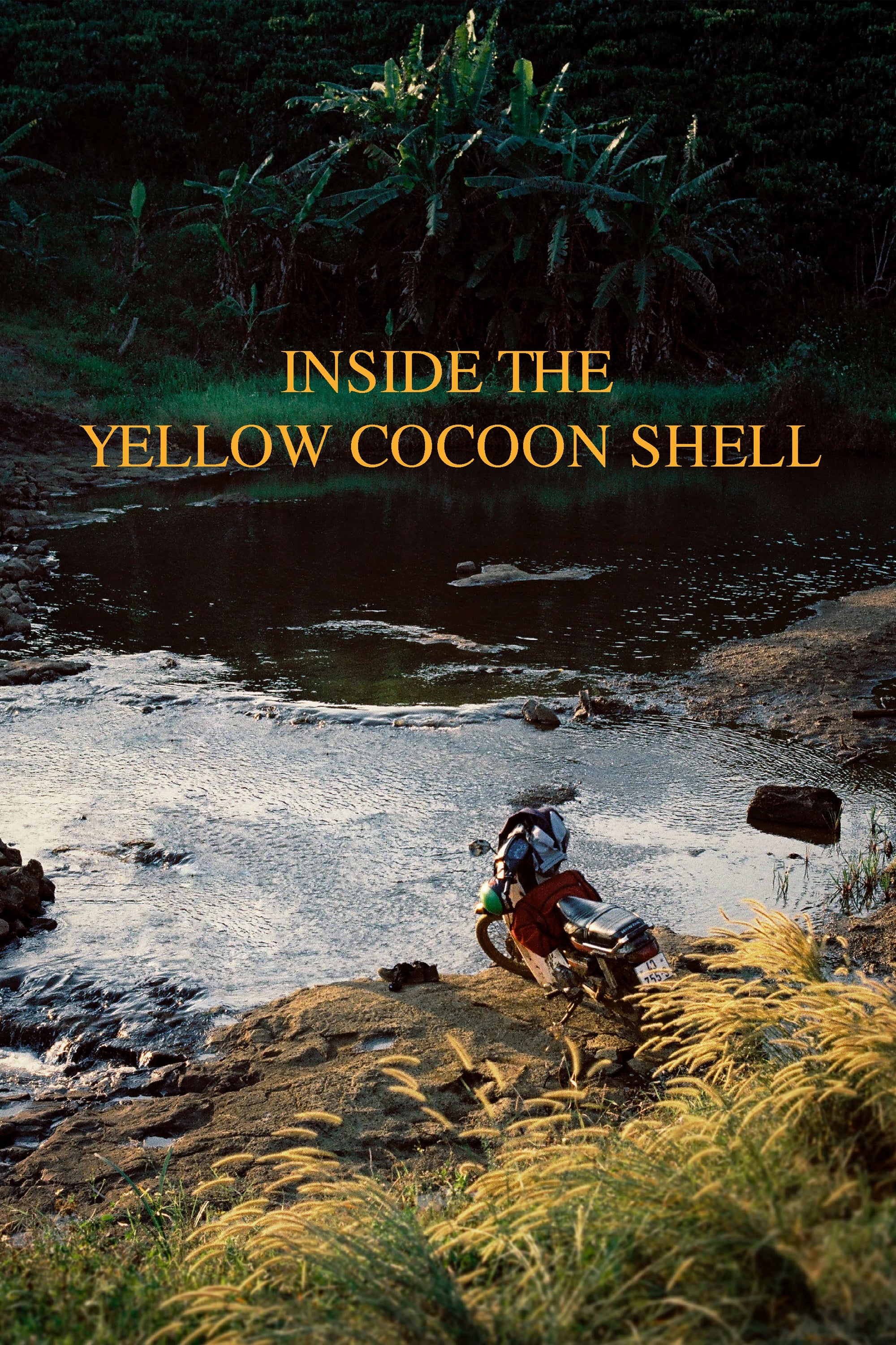 Inside the Yellow Cocoon Shell - Bild 1 von 11