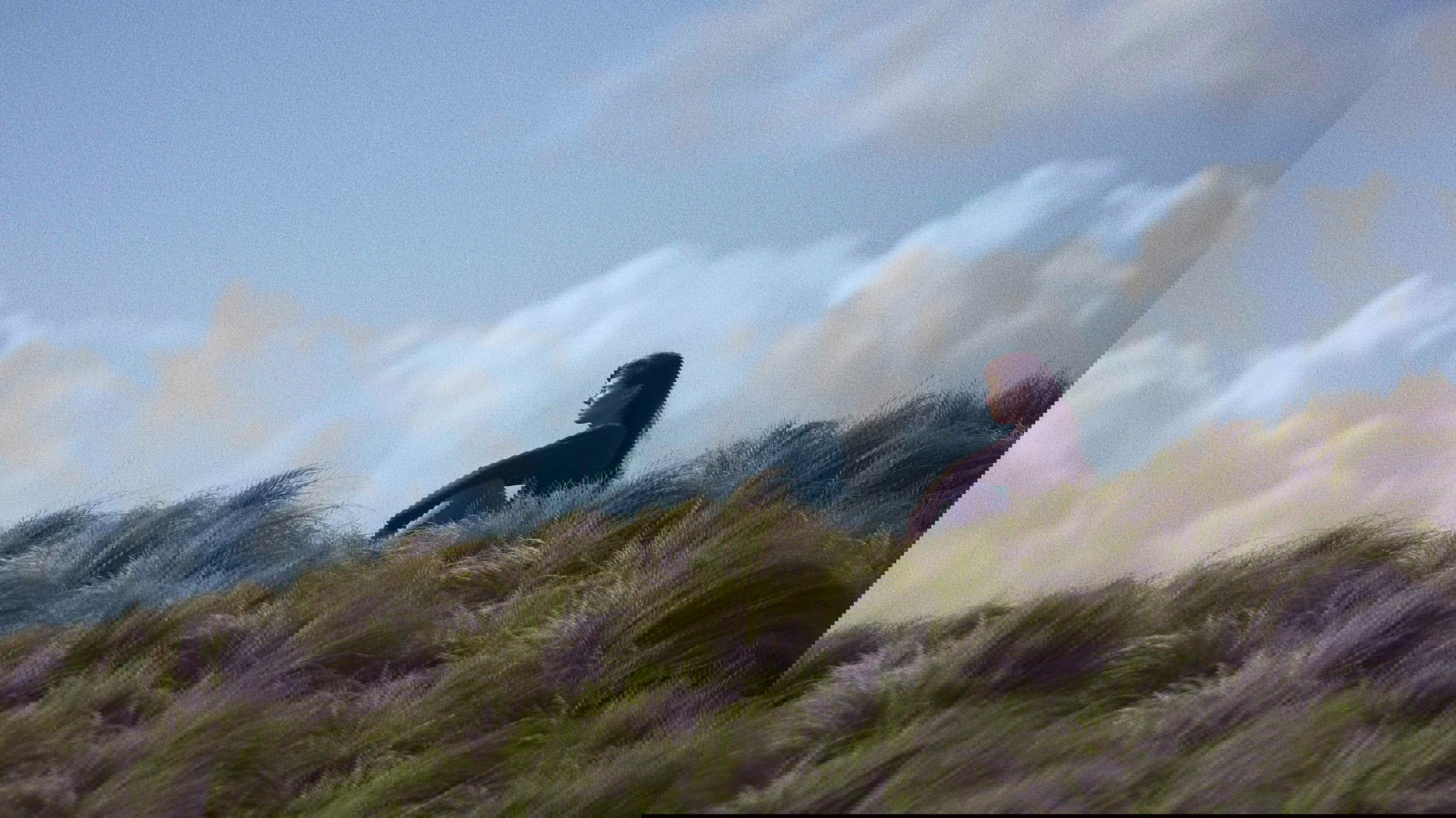 Thumbnail 3 von 3