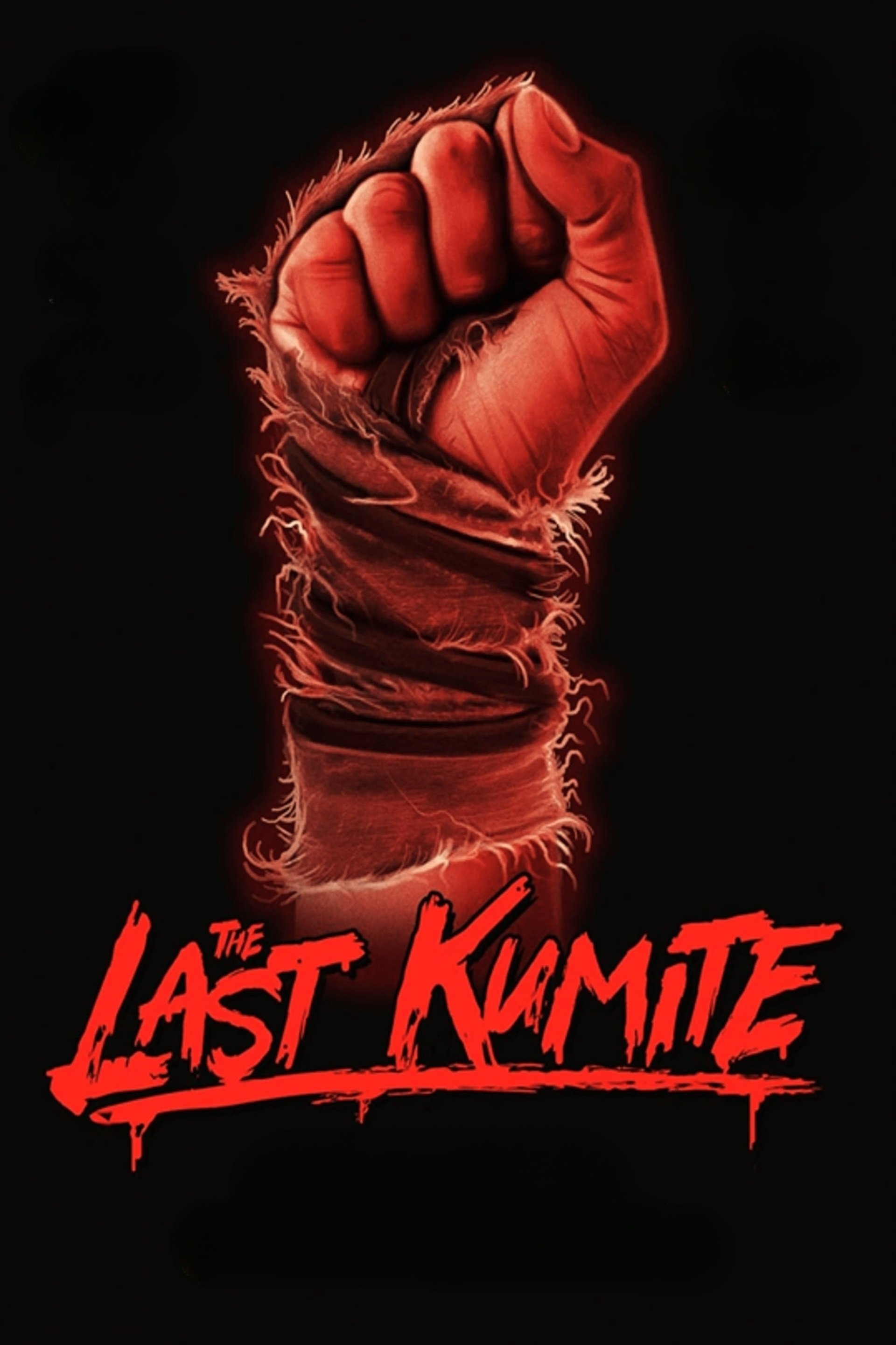 The Last Kumite - Bild 1 von 11