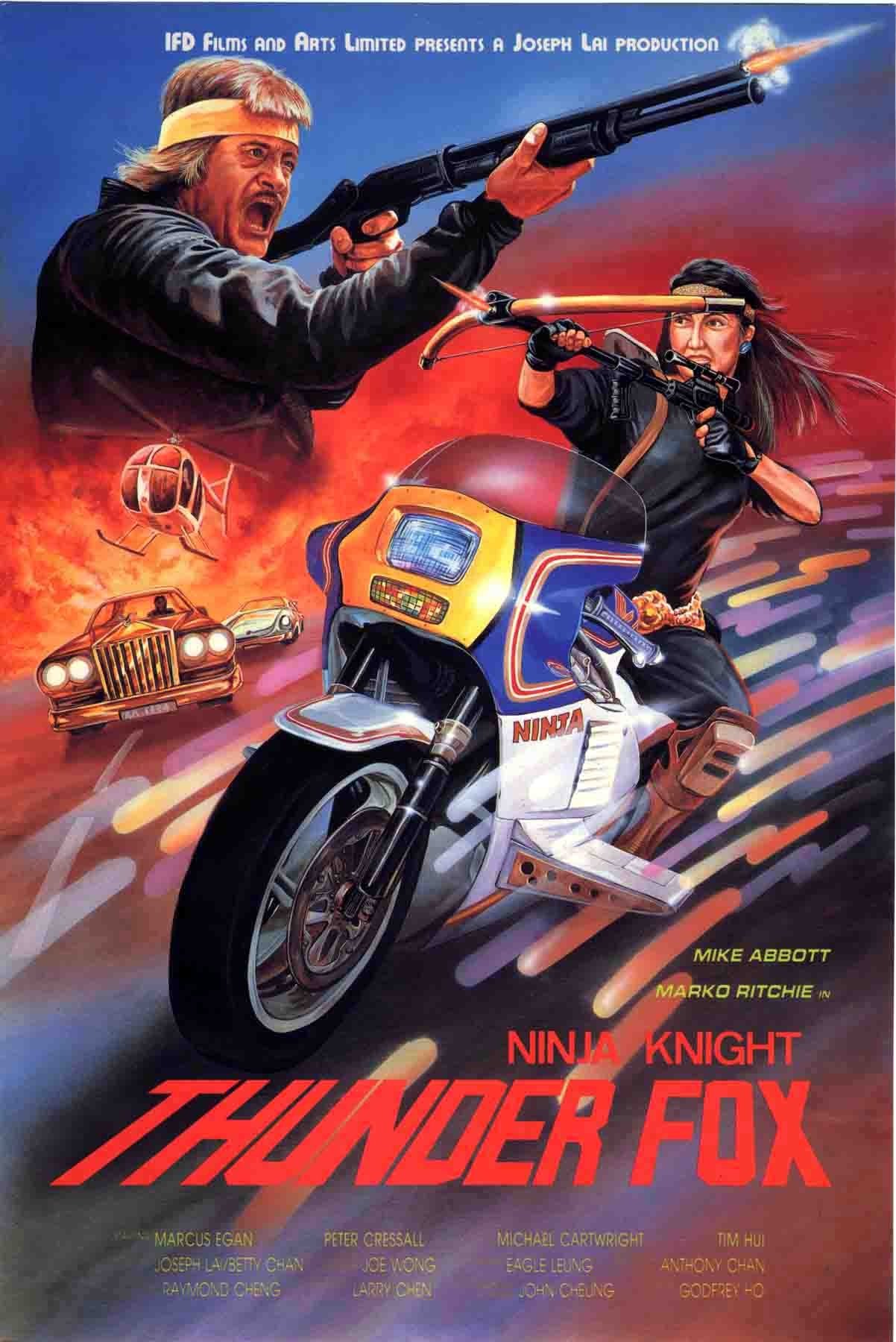Ninja Knight Thunder Fox - Bild 1 von 3