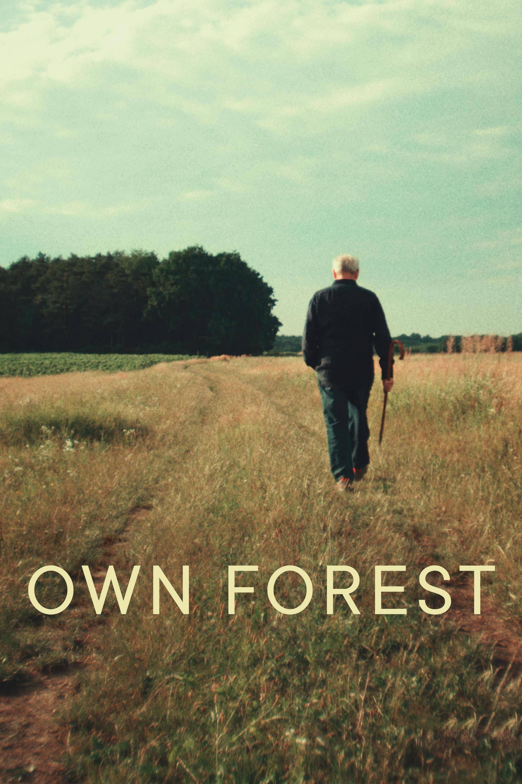 Own Forest - Bild 1 von 8
