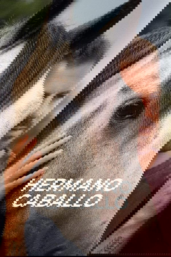 Hermano caballo - Bild 1 von 2