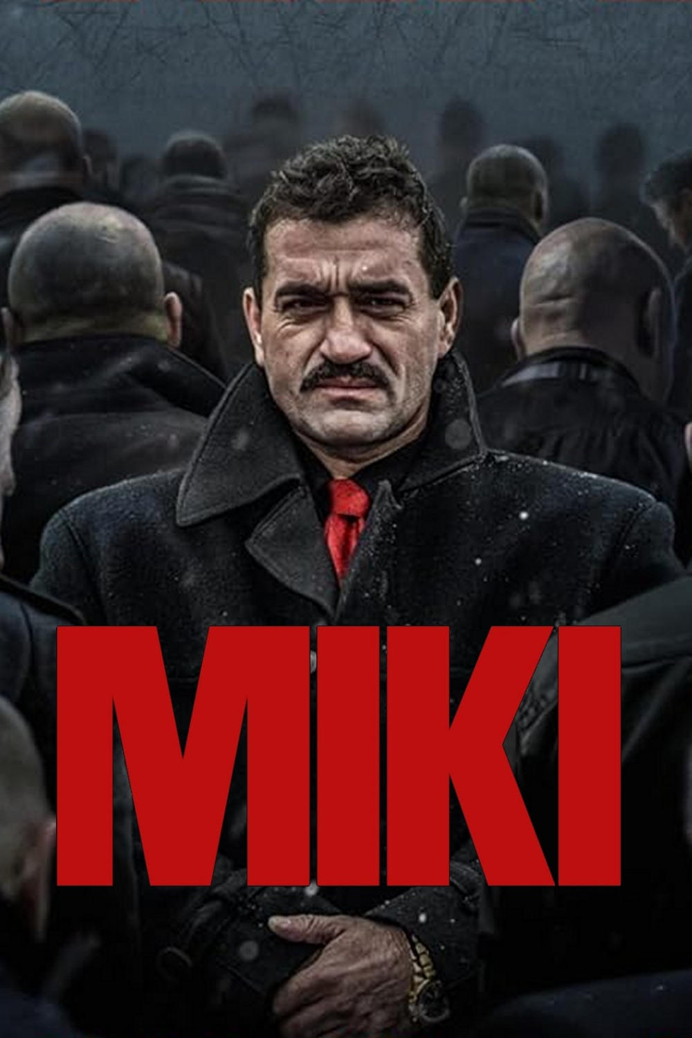 Miki - Bild 1 von 3