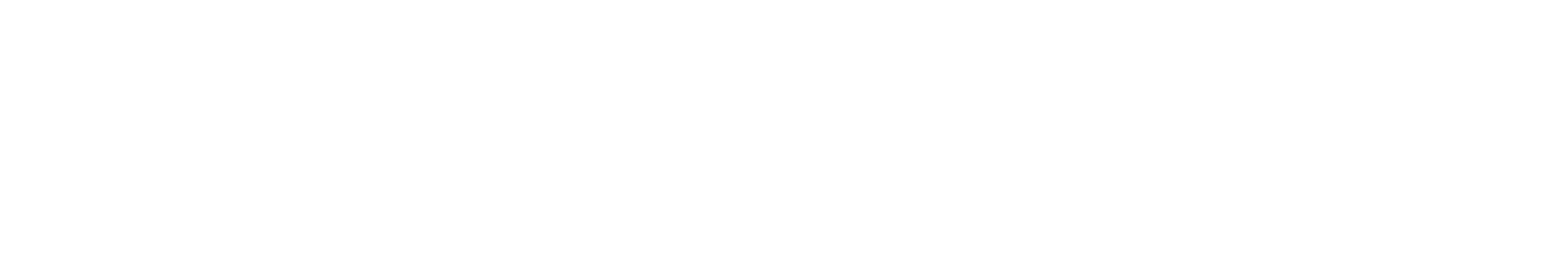 Thumbnail 10 von 11